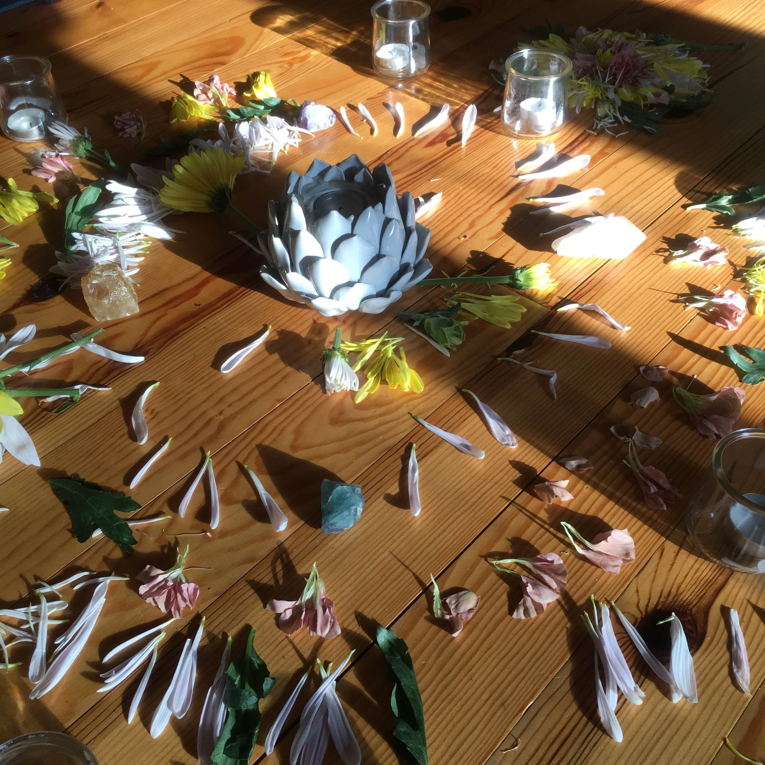 Maine Summer Solstice Renewal