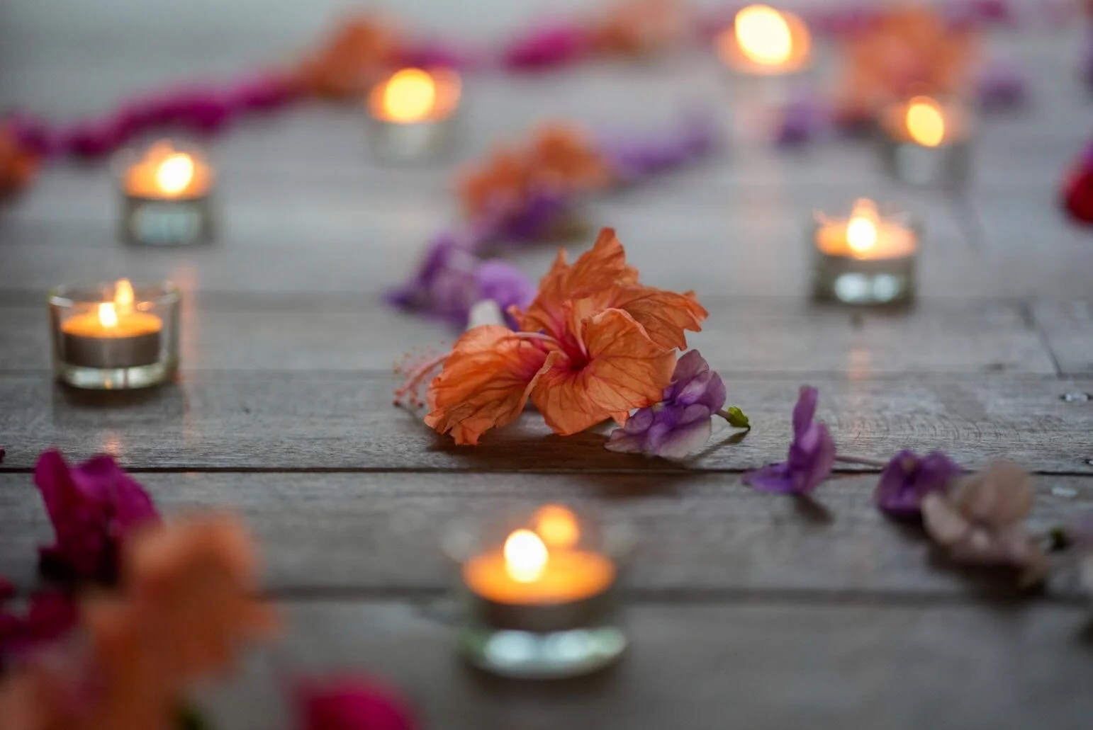 Gentle Vinyasa Flow - Saturday