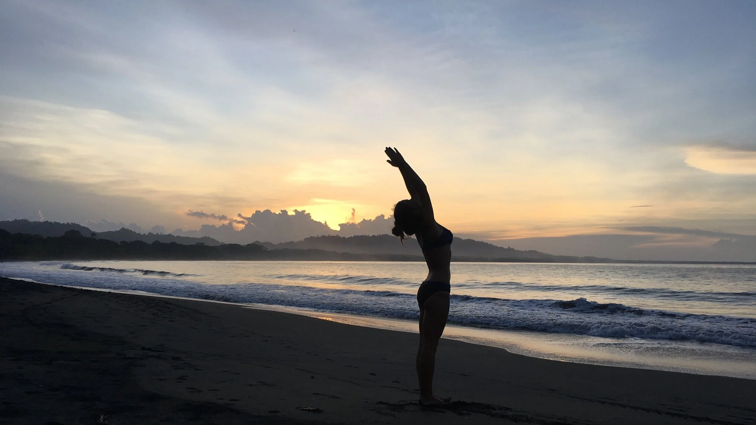 WanderFreely Flow