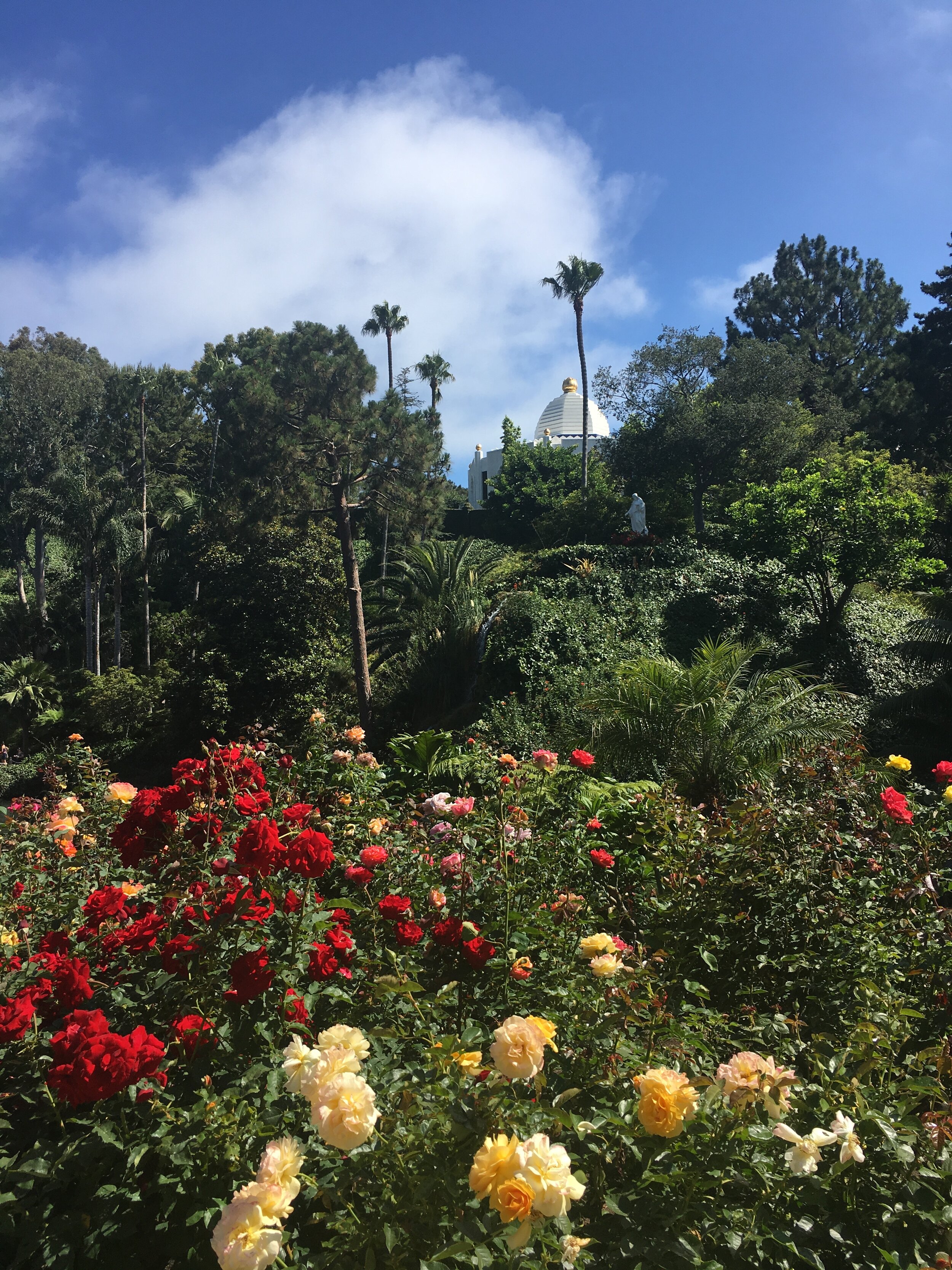 Gentle Vinyasa Flow - Tuesday