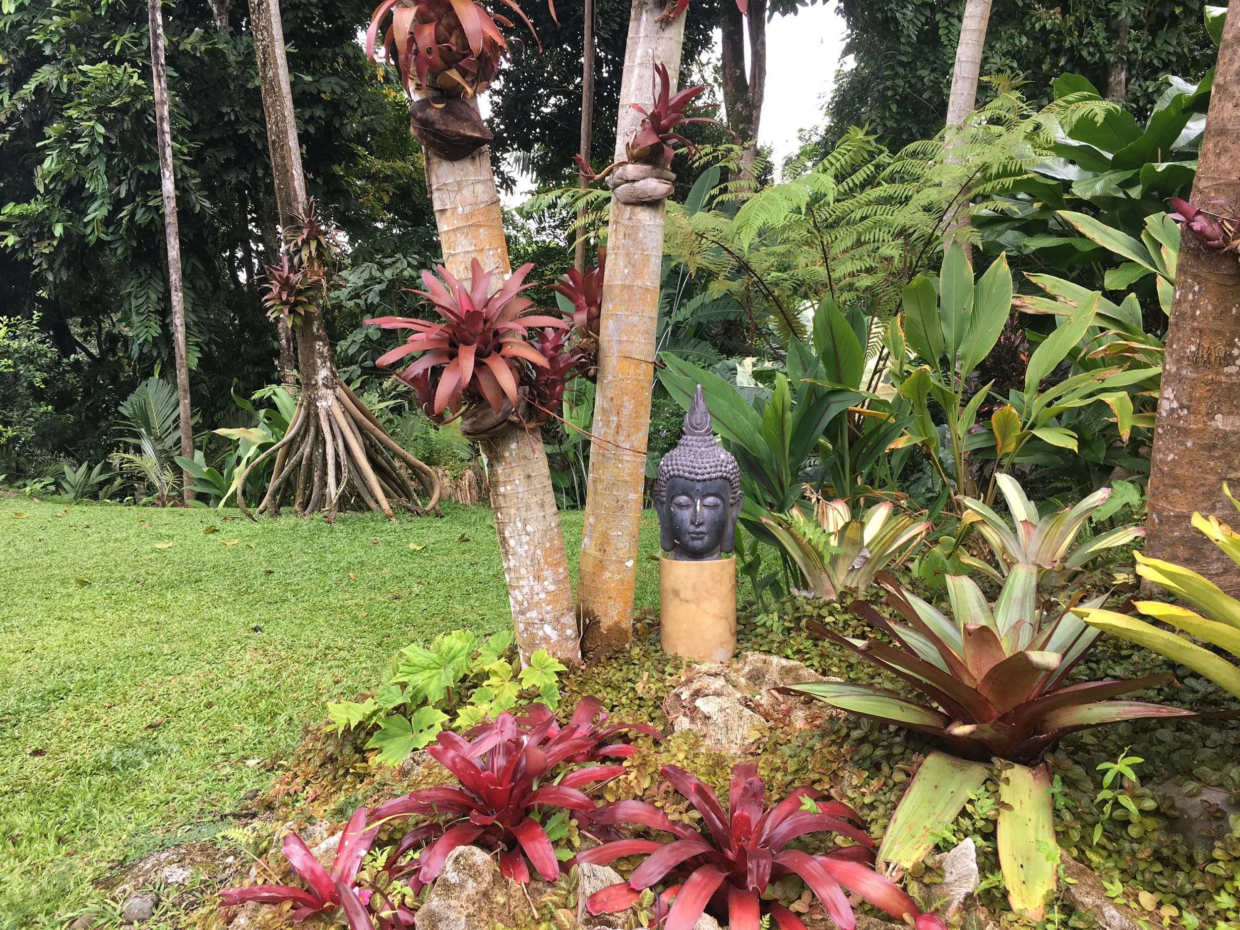 2023 Costa Rica Retreat