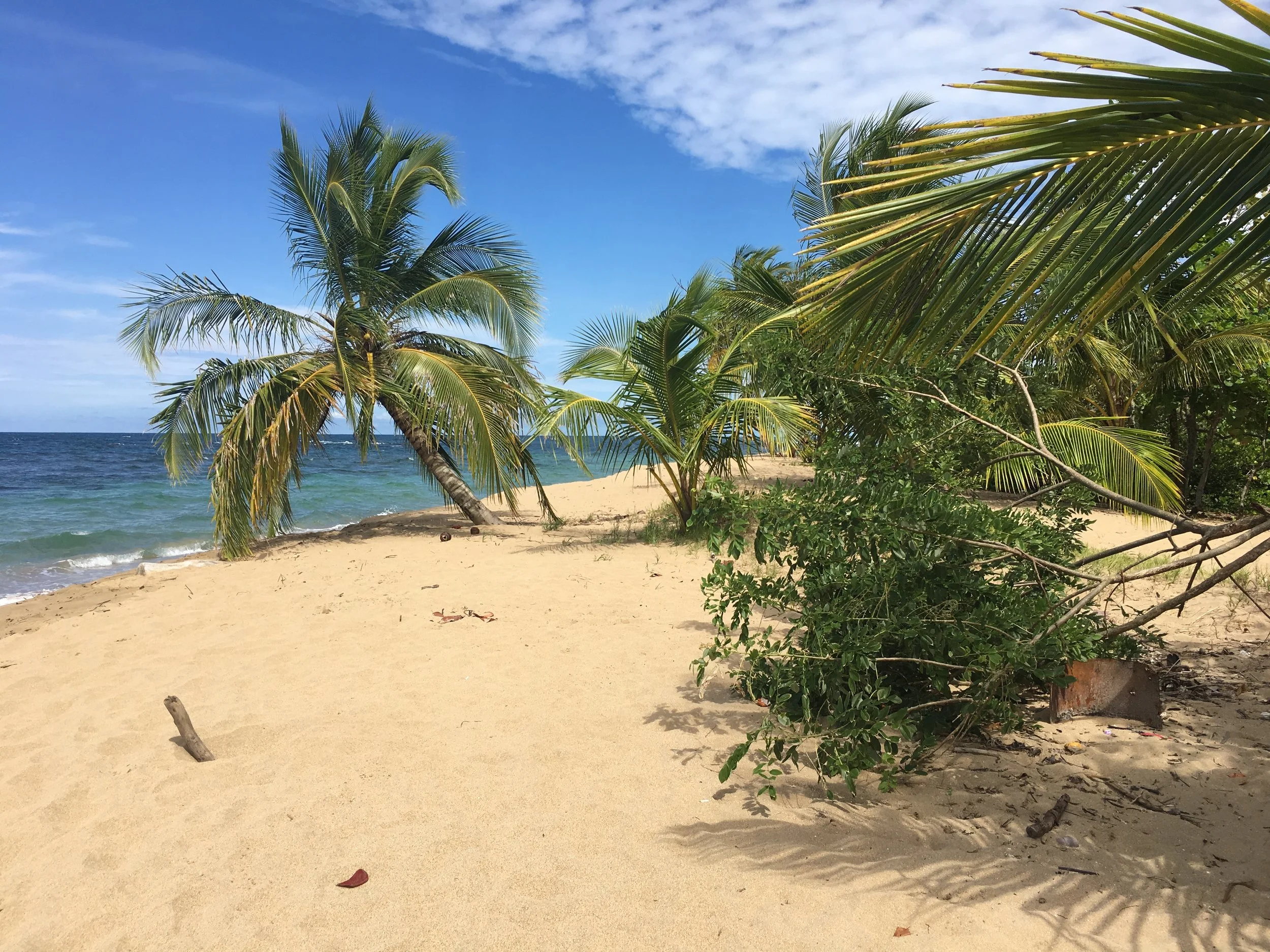 Costa Rica Reset 2024