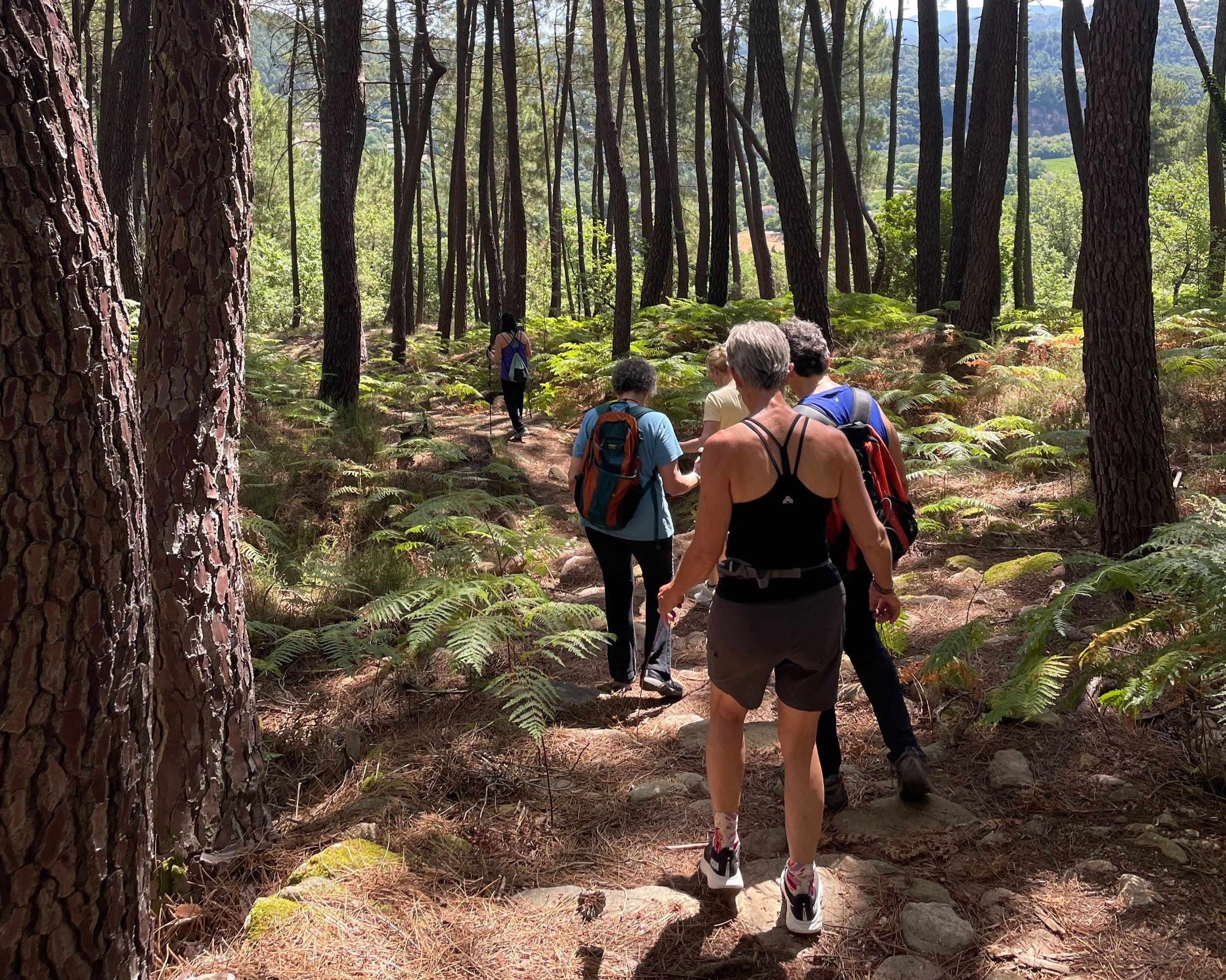 Naves+2025+Hiking.jpg