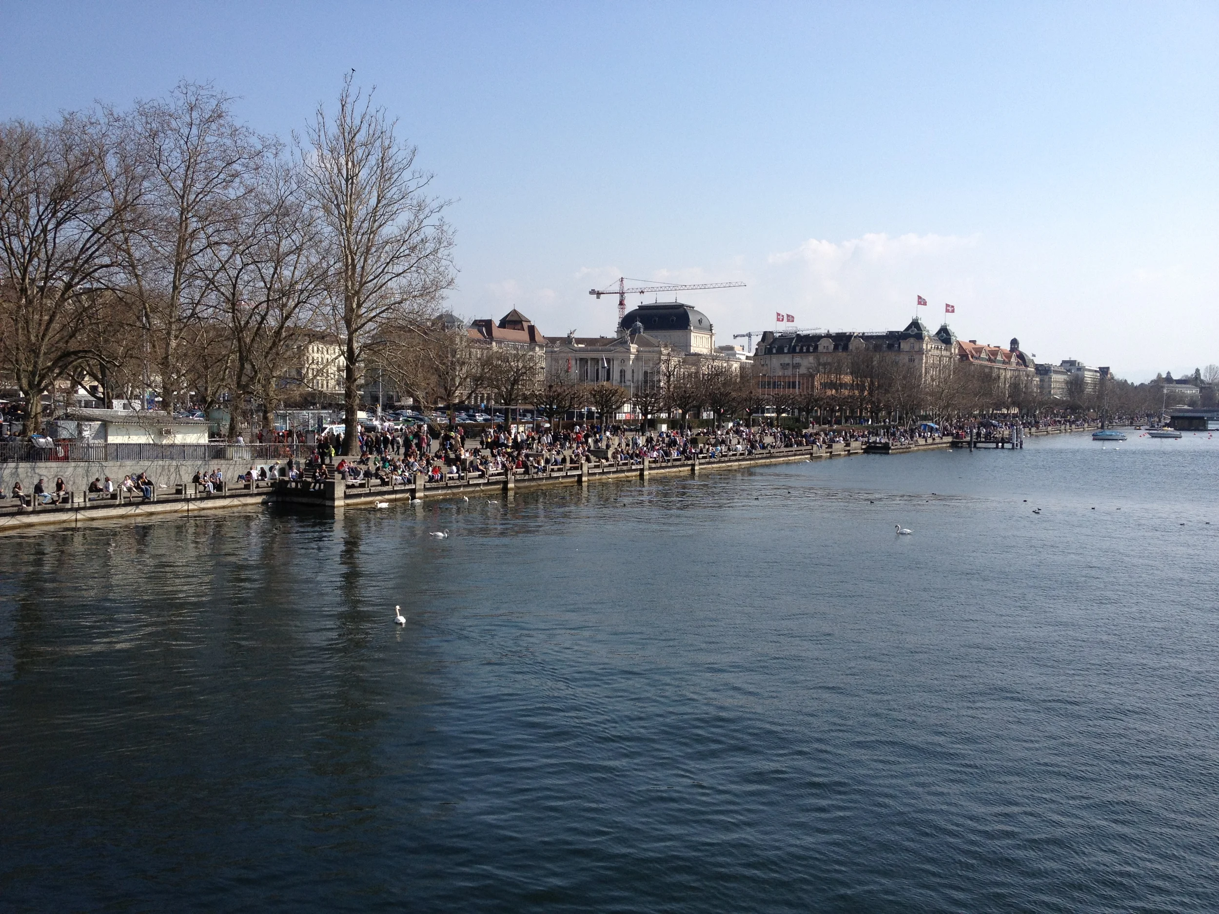 2012-03-24 14.56.21.jpg