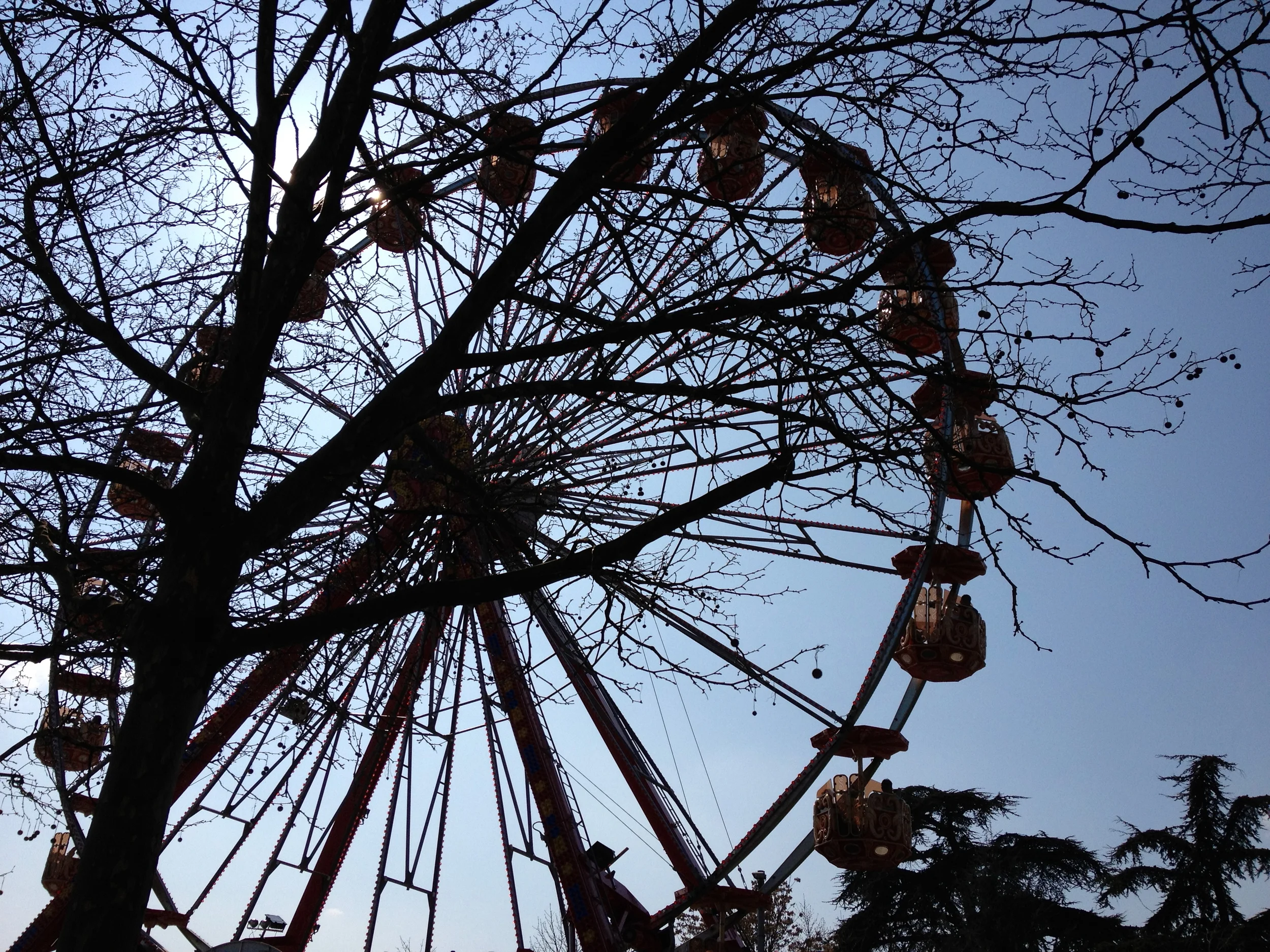 2012-03-24 15.01.53.jpg