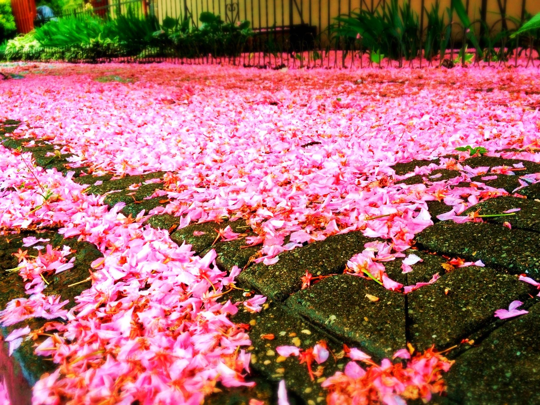 2012-06-18 23.10.22.png