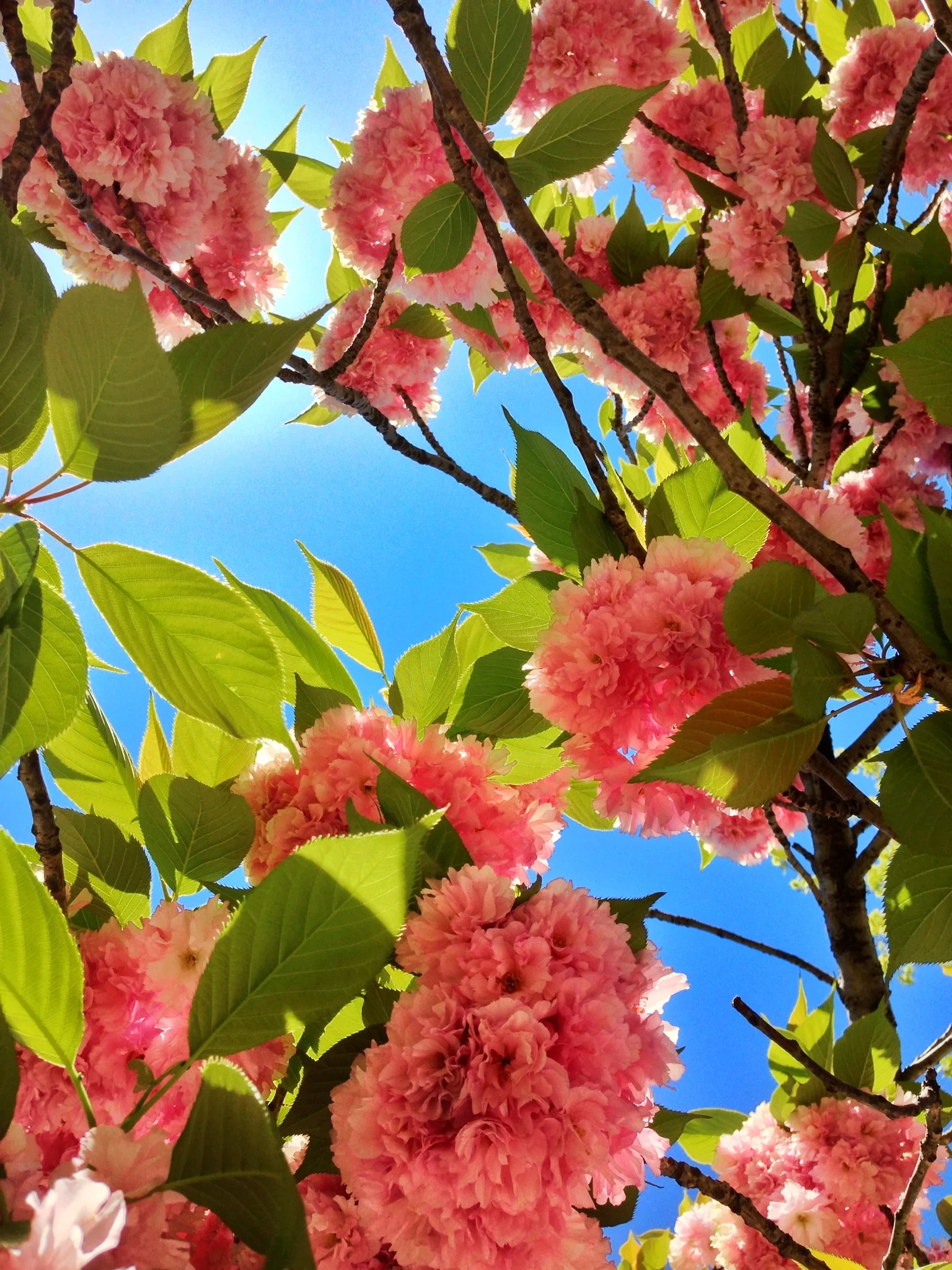 2013-05-04 12.10.11.jpg