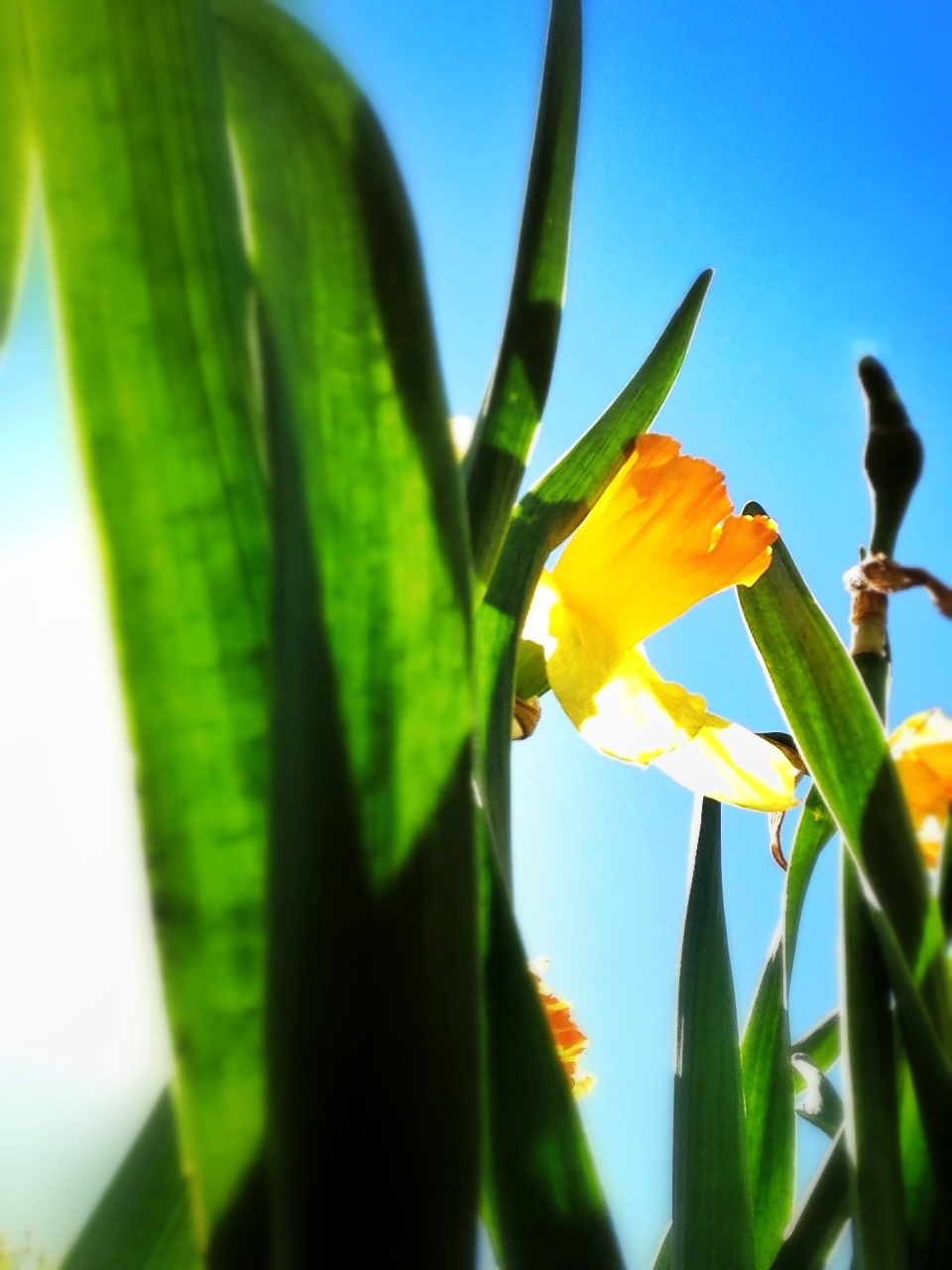IMG_5312.png