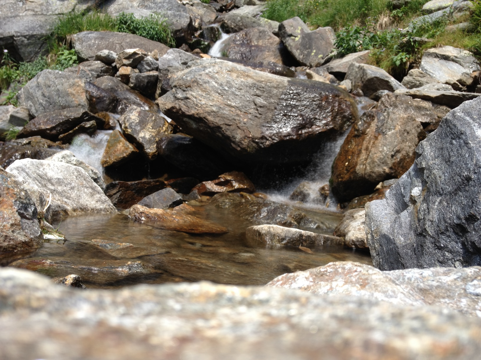 2012-08-04 12.10.27.jpg