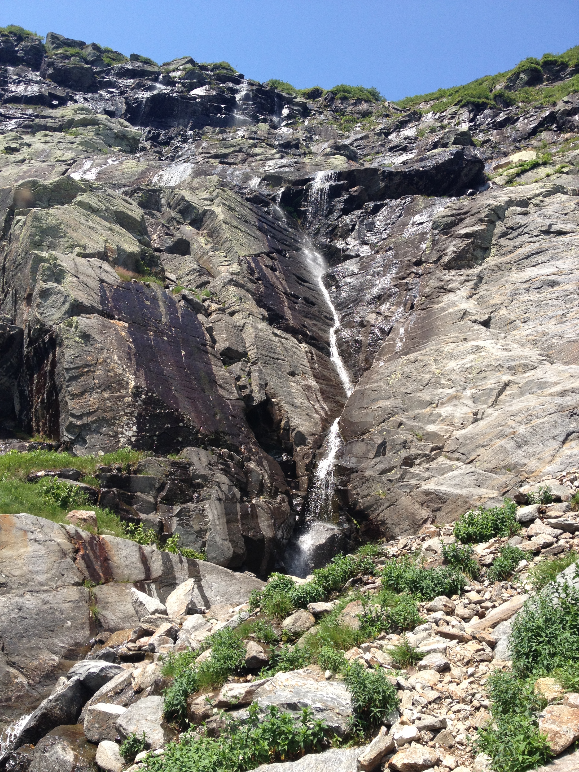 2012-08-04 12.18.20.jpg