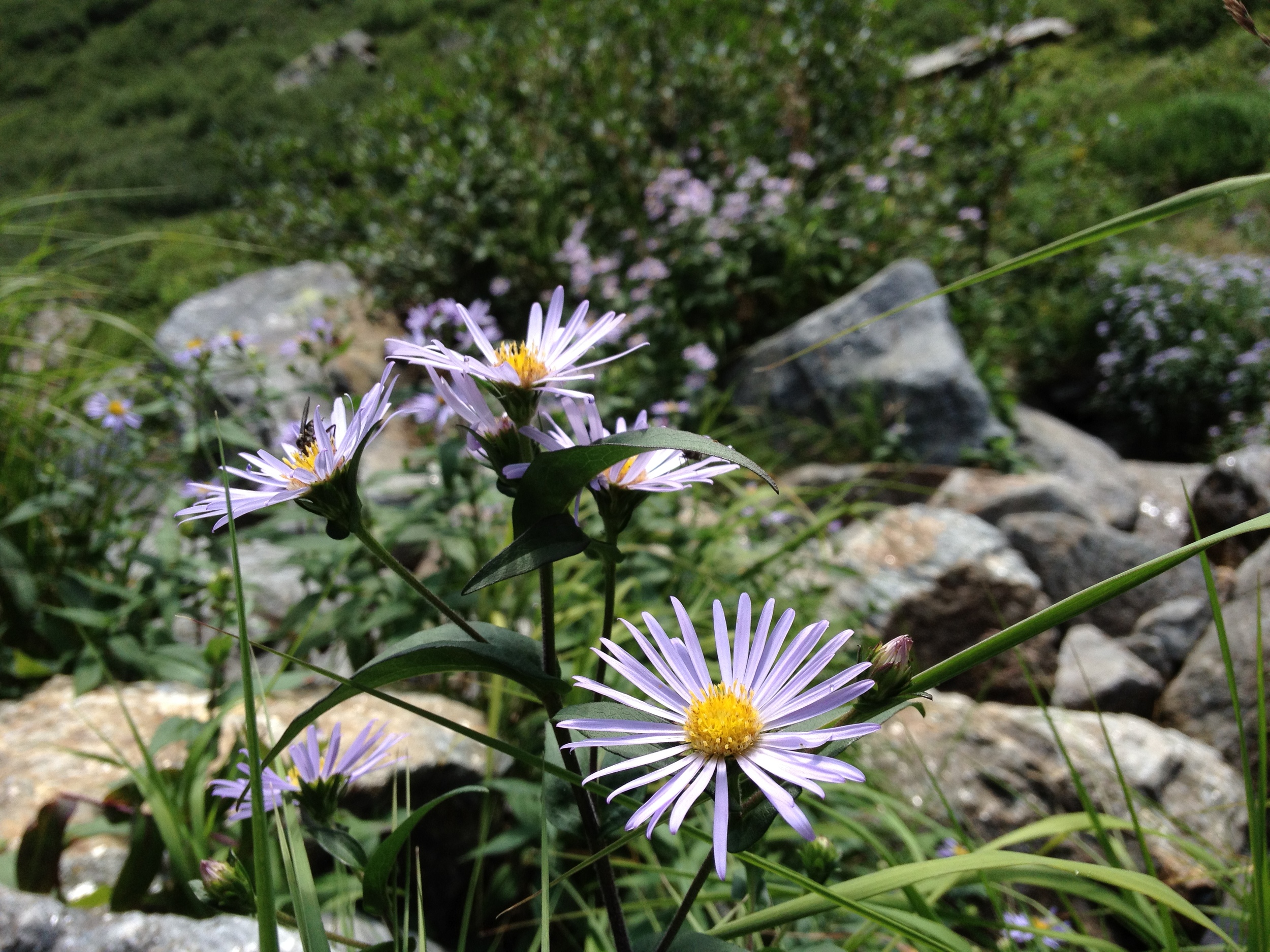 2012-08-04 12.06.15.jpg