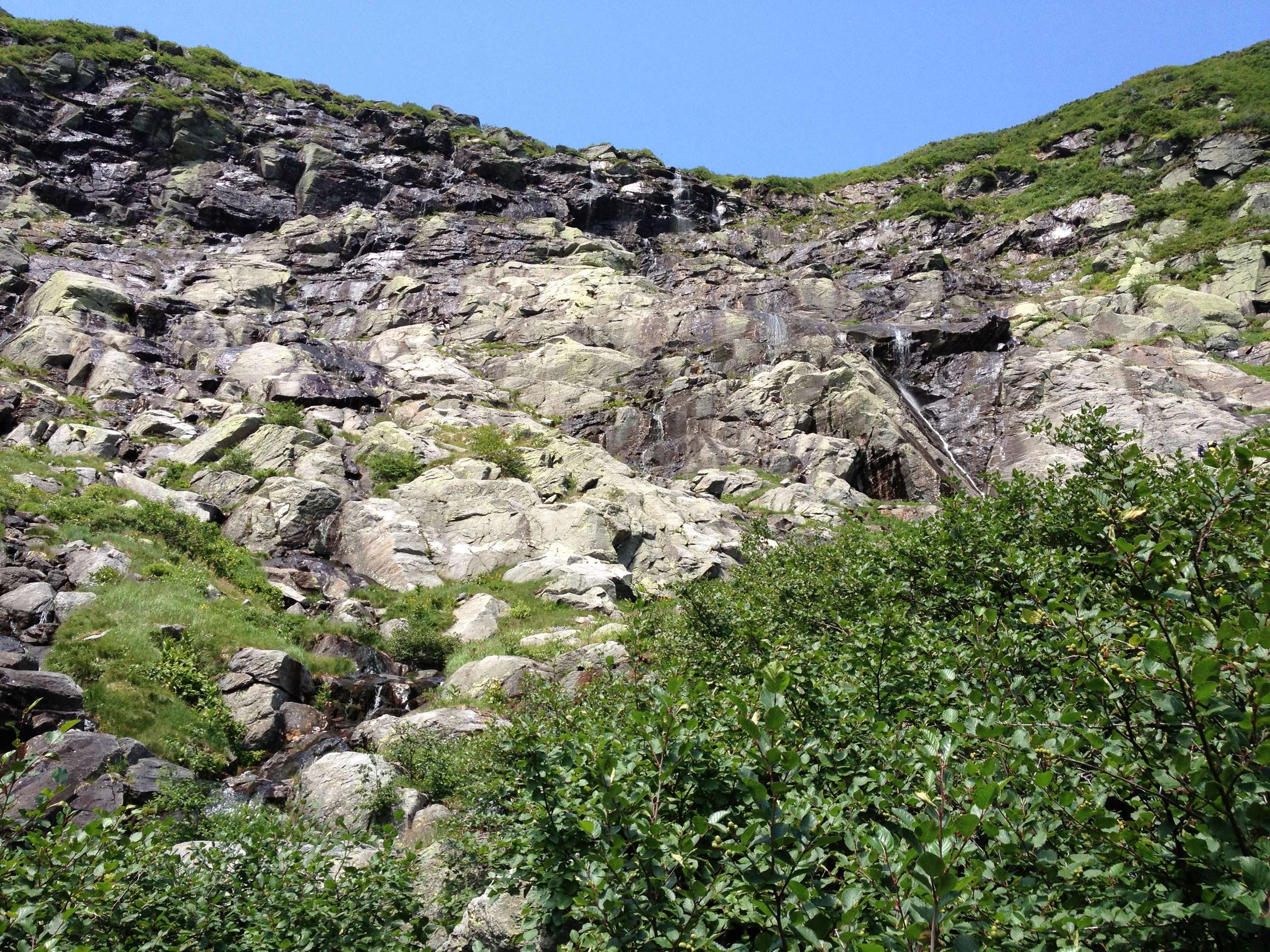2012-08-04 11.49.19.jpg