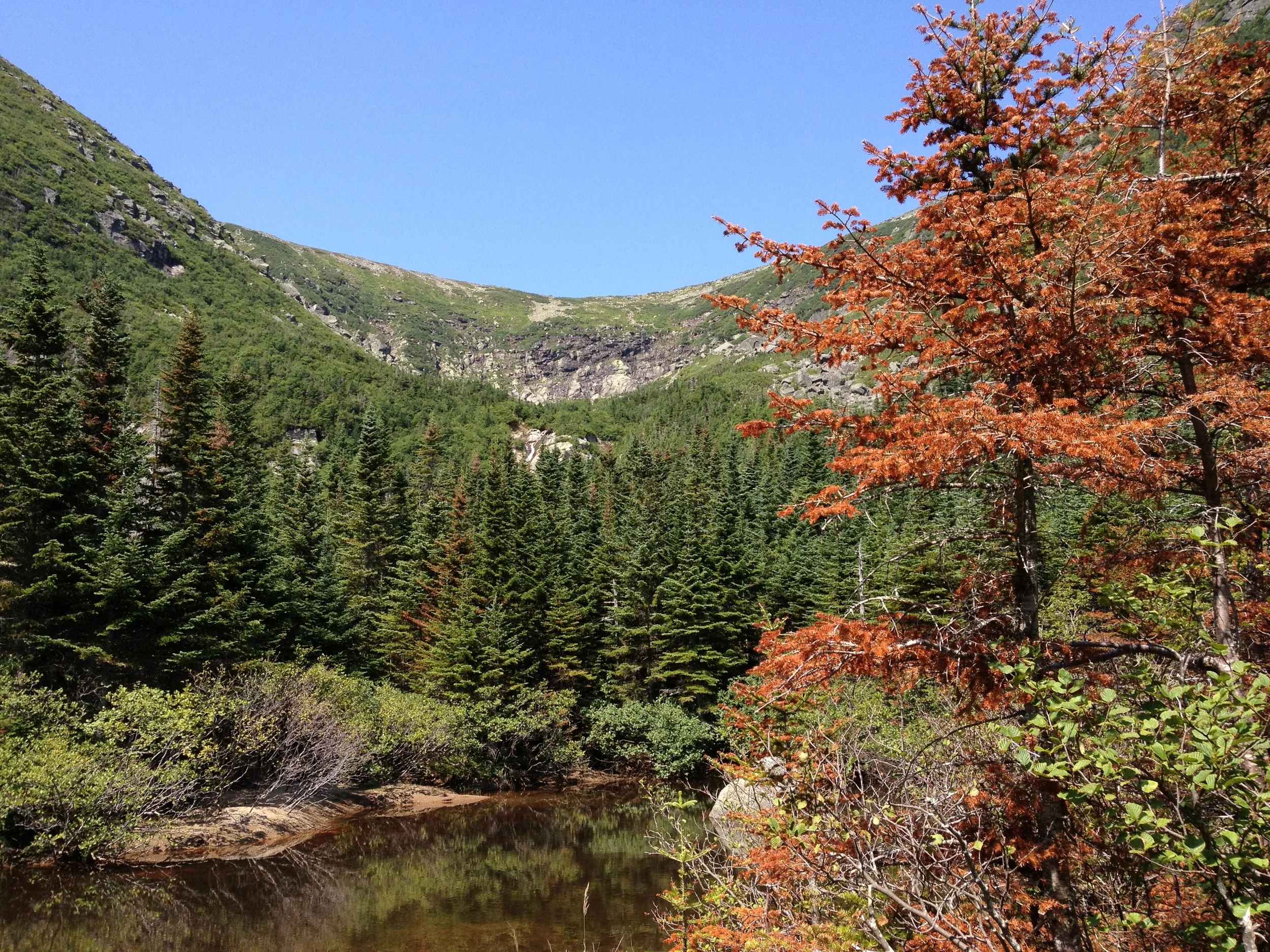 2012-08-04 11.16.50.jpg