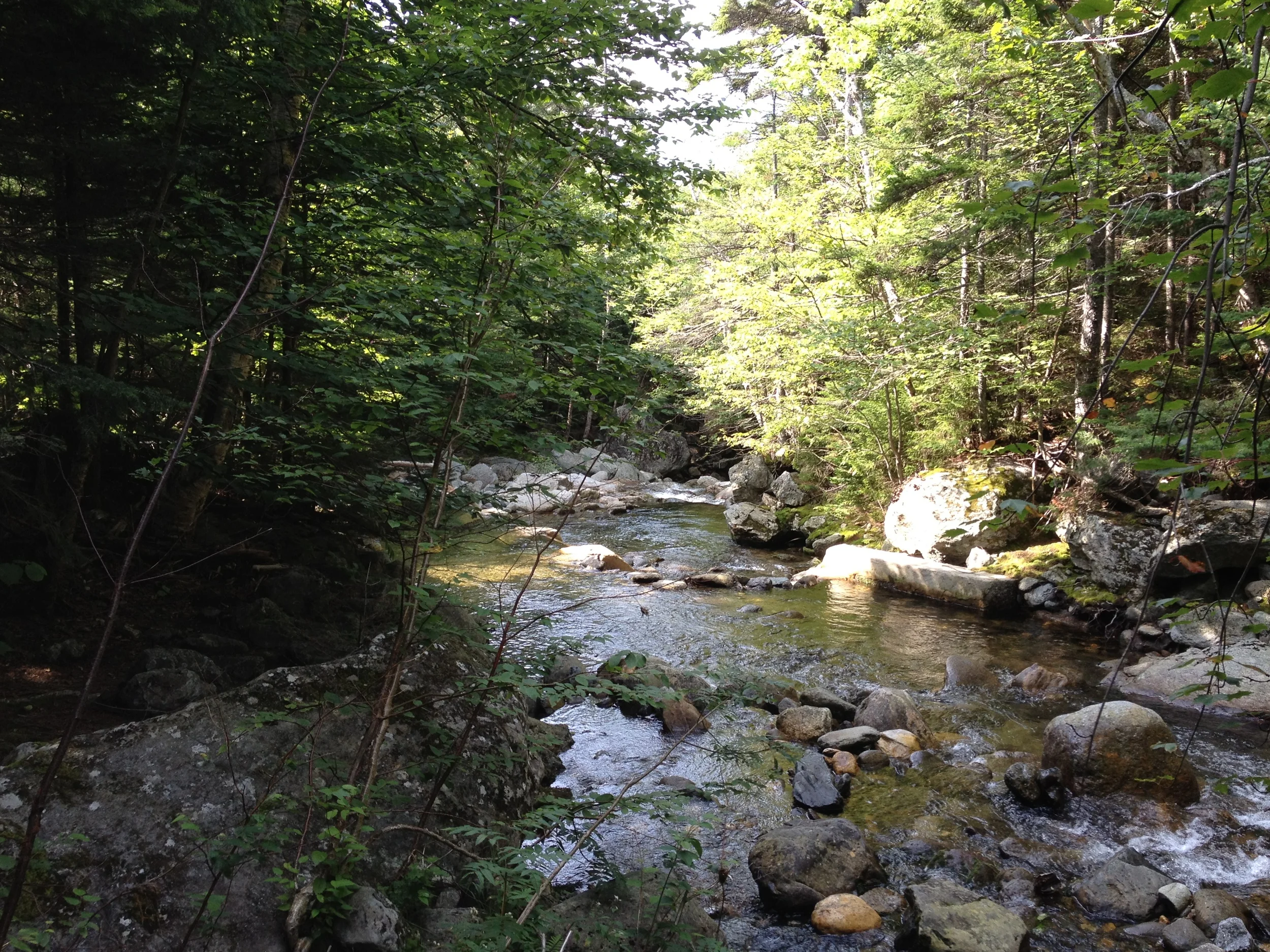 2012-08-04 09.47.11.jpg