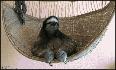 deal-with-it-sloth.gif