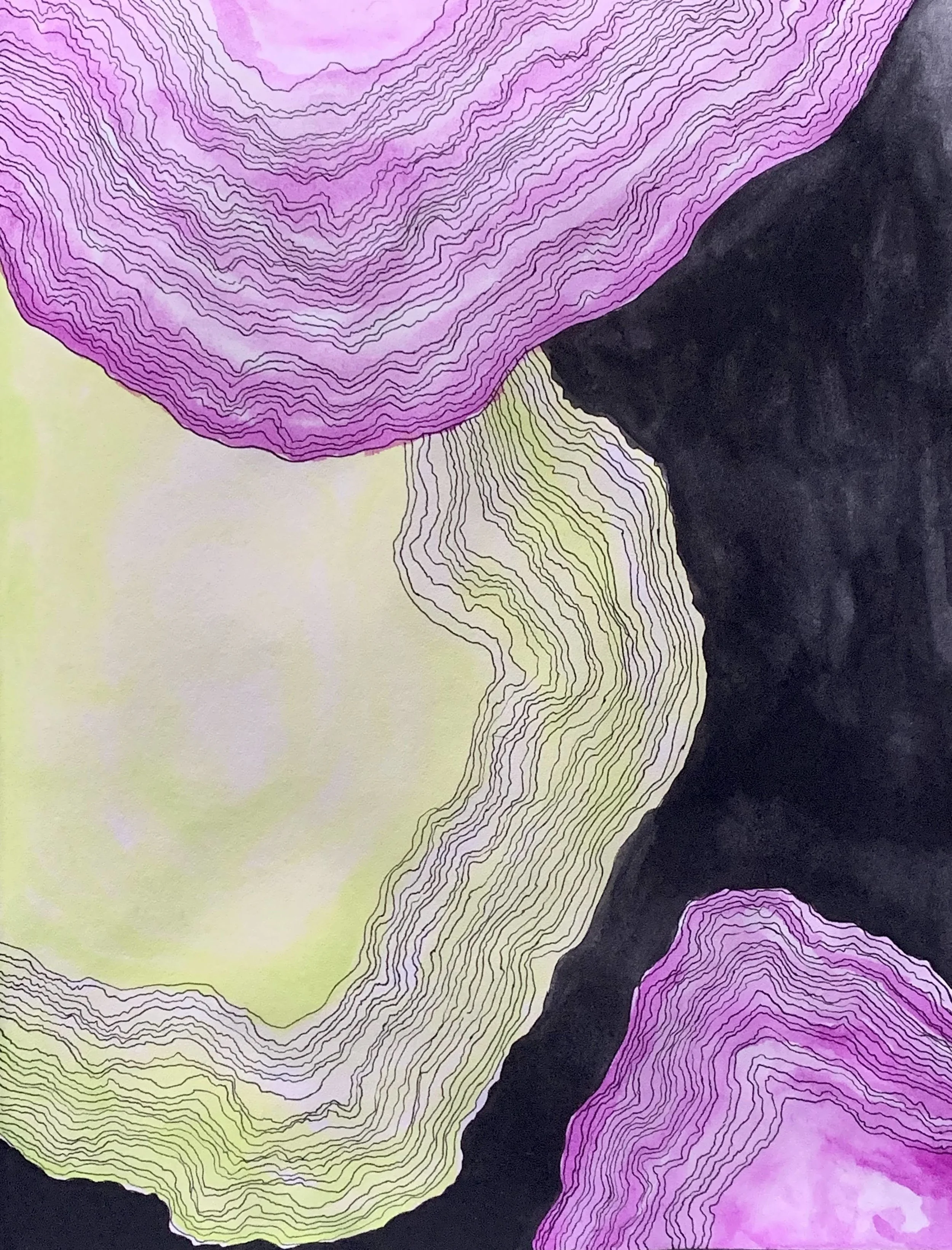 Salty in Purple and Green