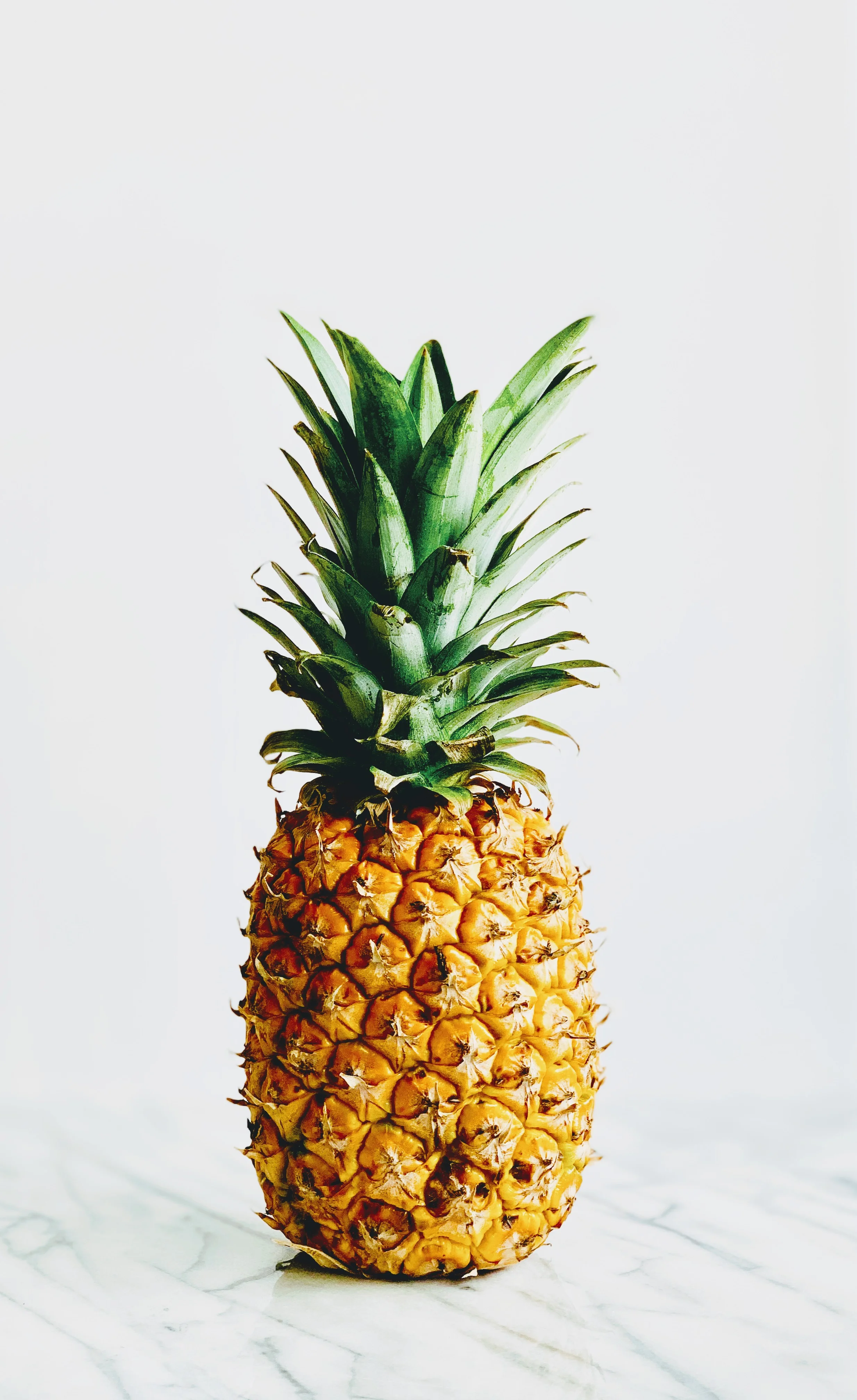 Pineapple.jpg