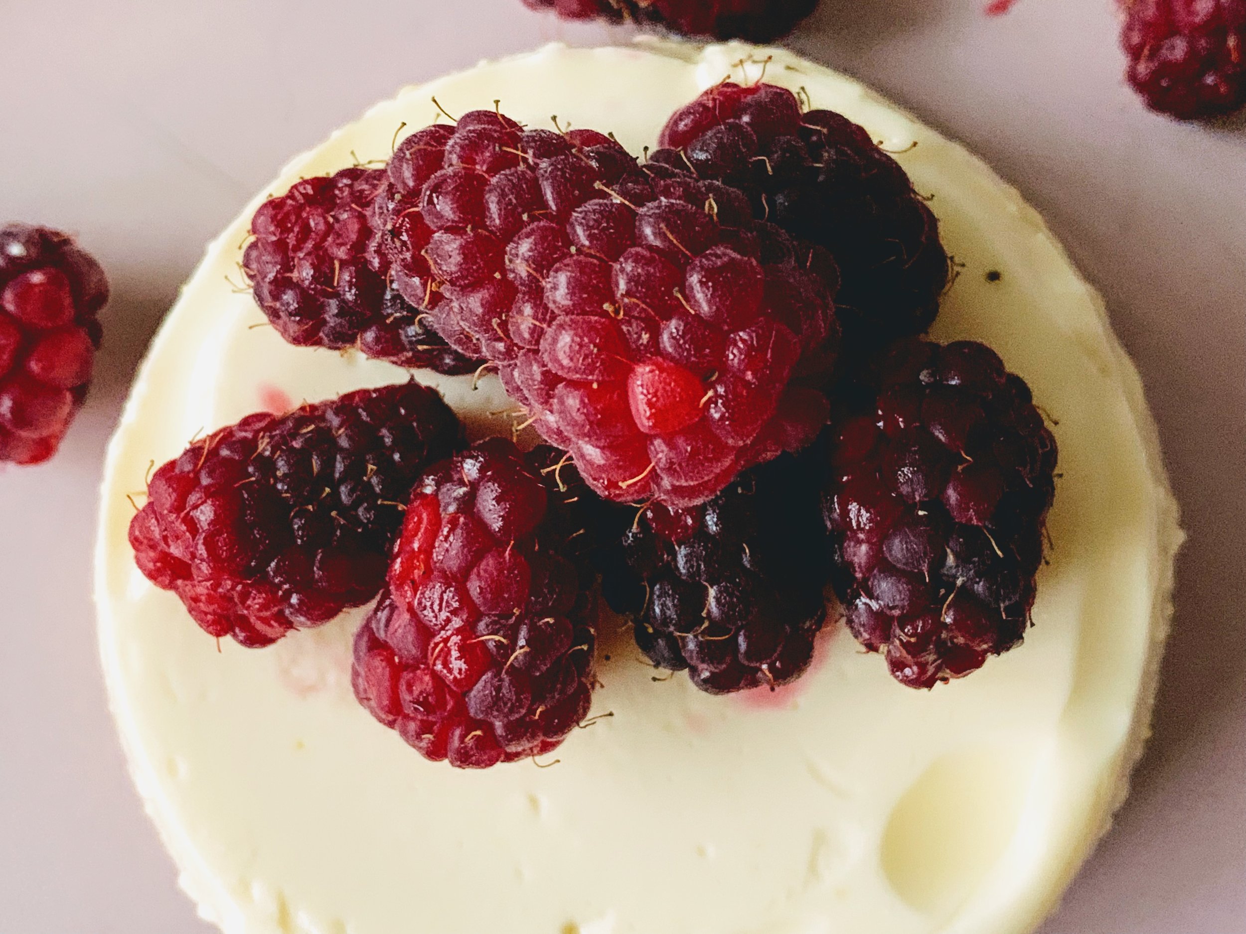 Sweet Corn Buttermilk Panna Cotta Up Close.jpg