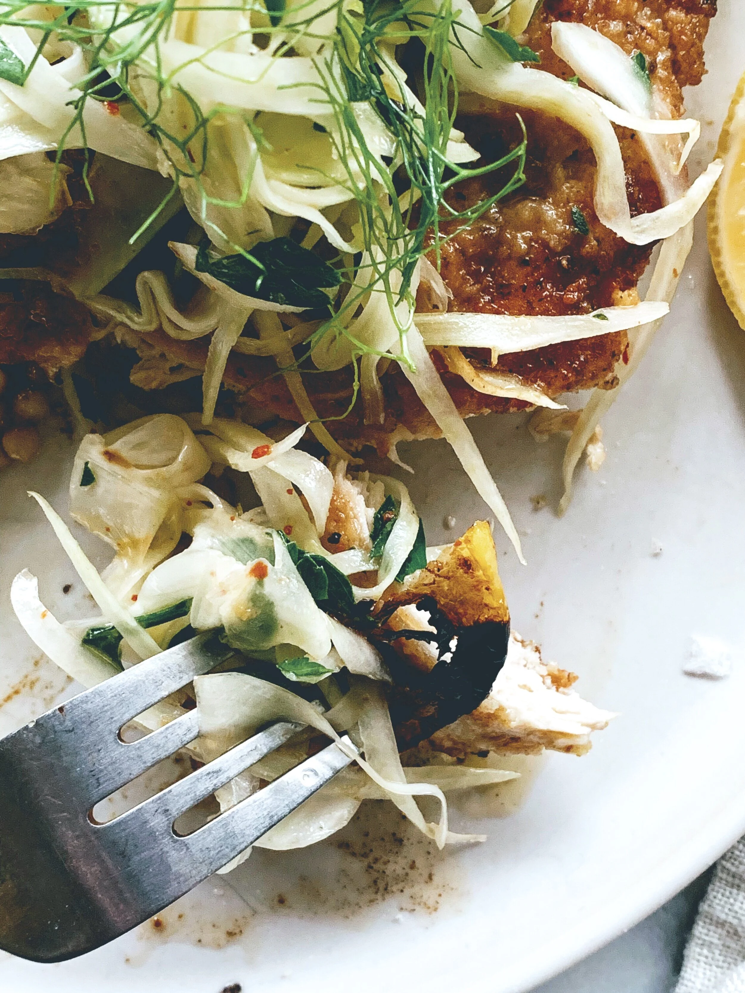 Chicken+Cutlet+with+Charred+Lemon+and+Fennel+Salad.jpg