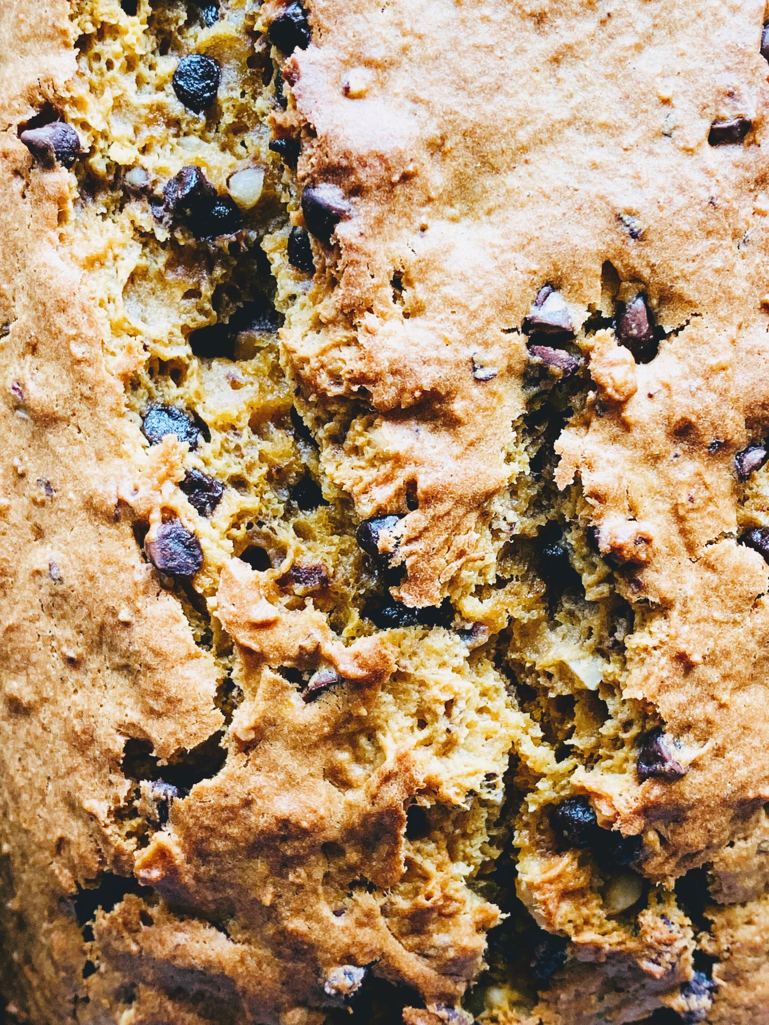 Gram's Souped-Up Pumpkin Bread-close up.jpg