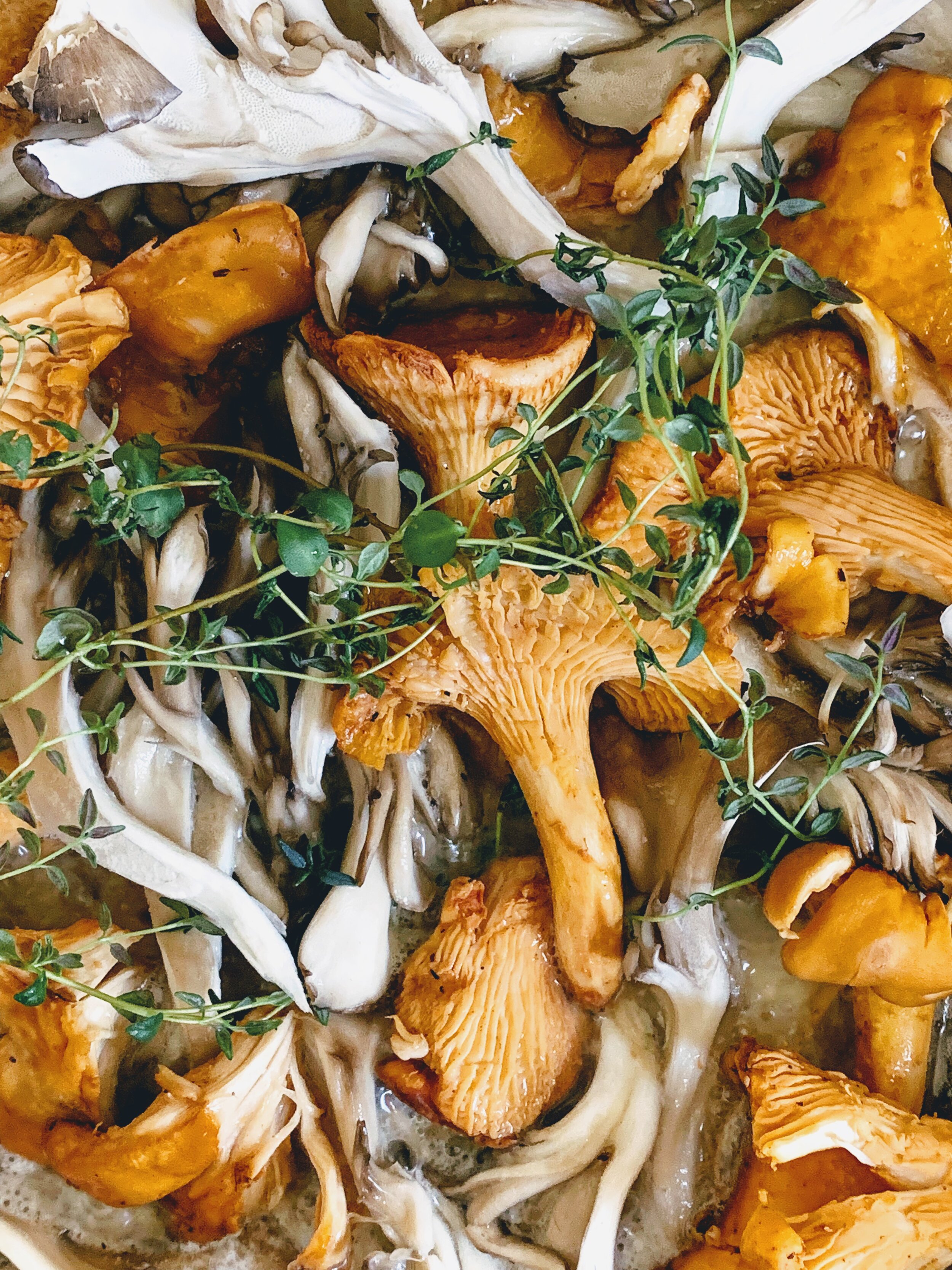 Turkey Tetrazzini mushrooms and thyme.jpg