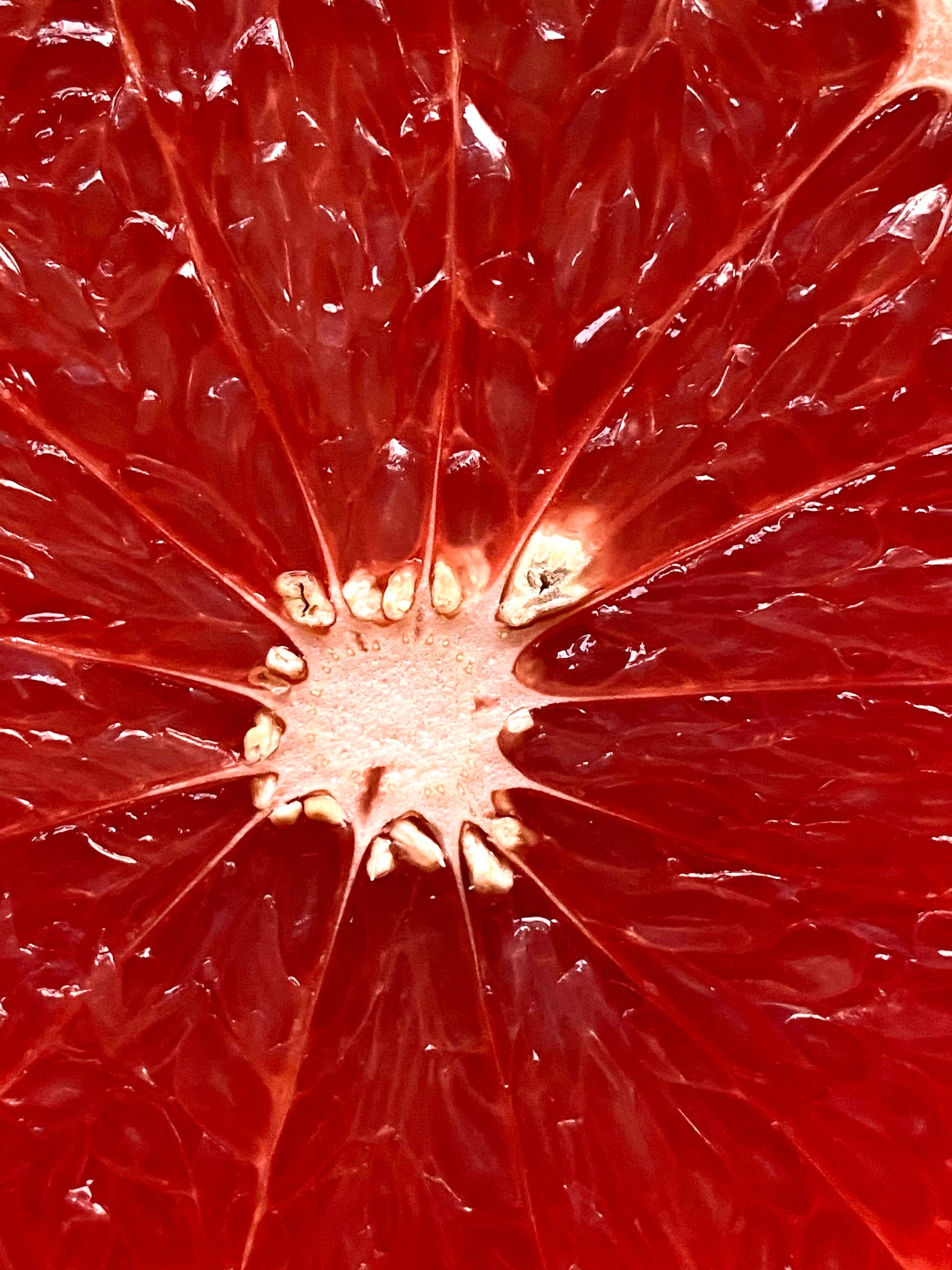 Grapefruit Rosemary Gin Spritz up close.jpg
