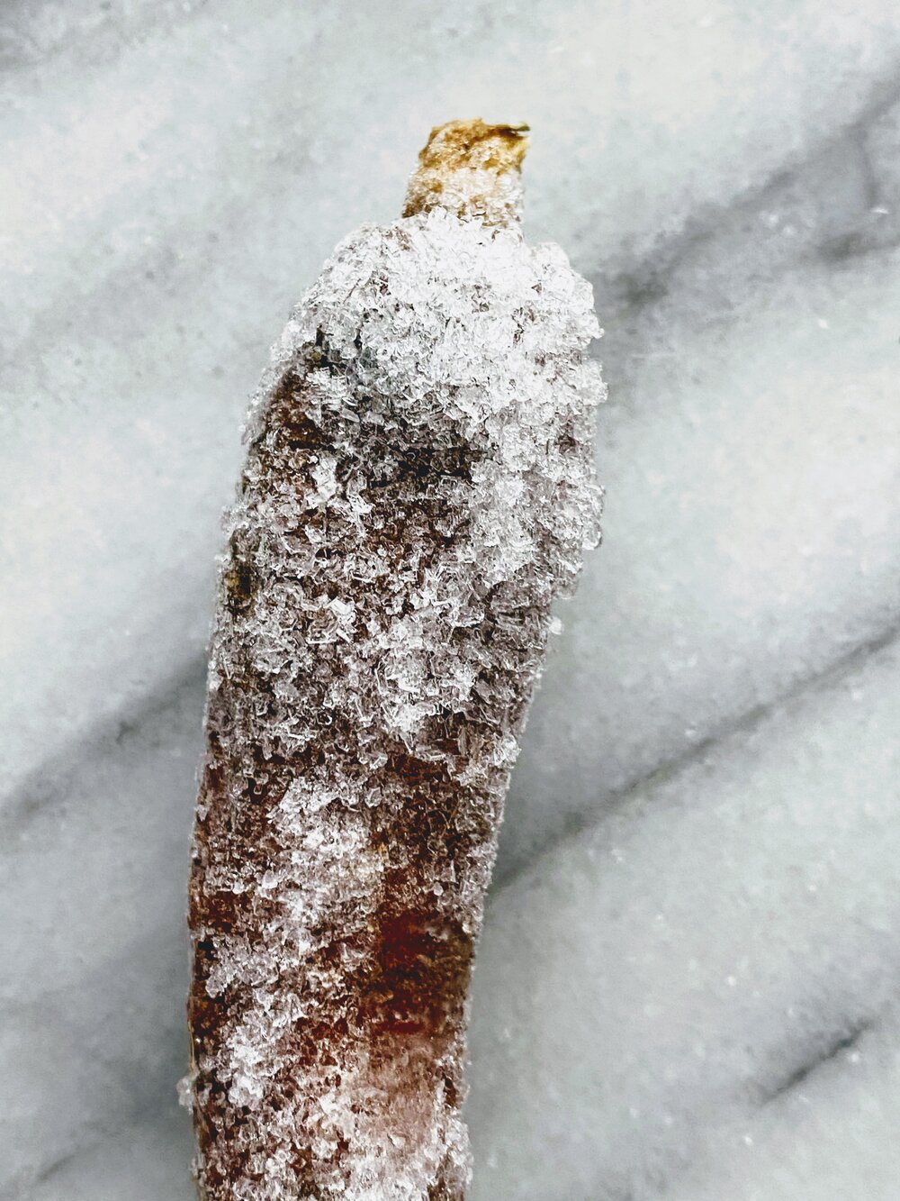 Instant Pot Zero Waste Bone Broth Icy Carrot.jpg