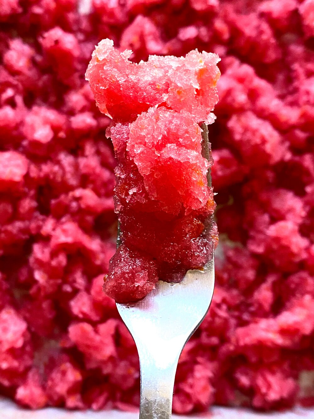 Boozy Blood Orange Granita with Fork.jpg