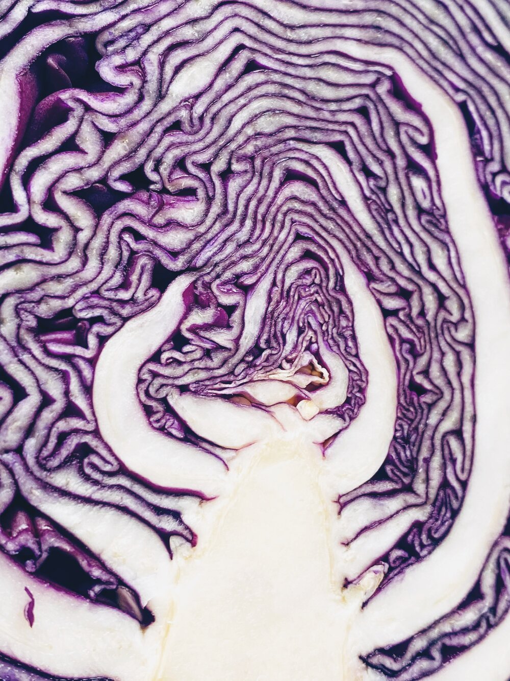 Cabbage Salad Cut Up Close .jpg