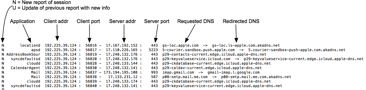 SimpleSniffer Output