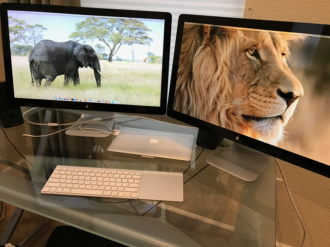 Thunderbolt Display on the left, Cinema Display on the right
