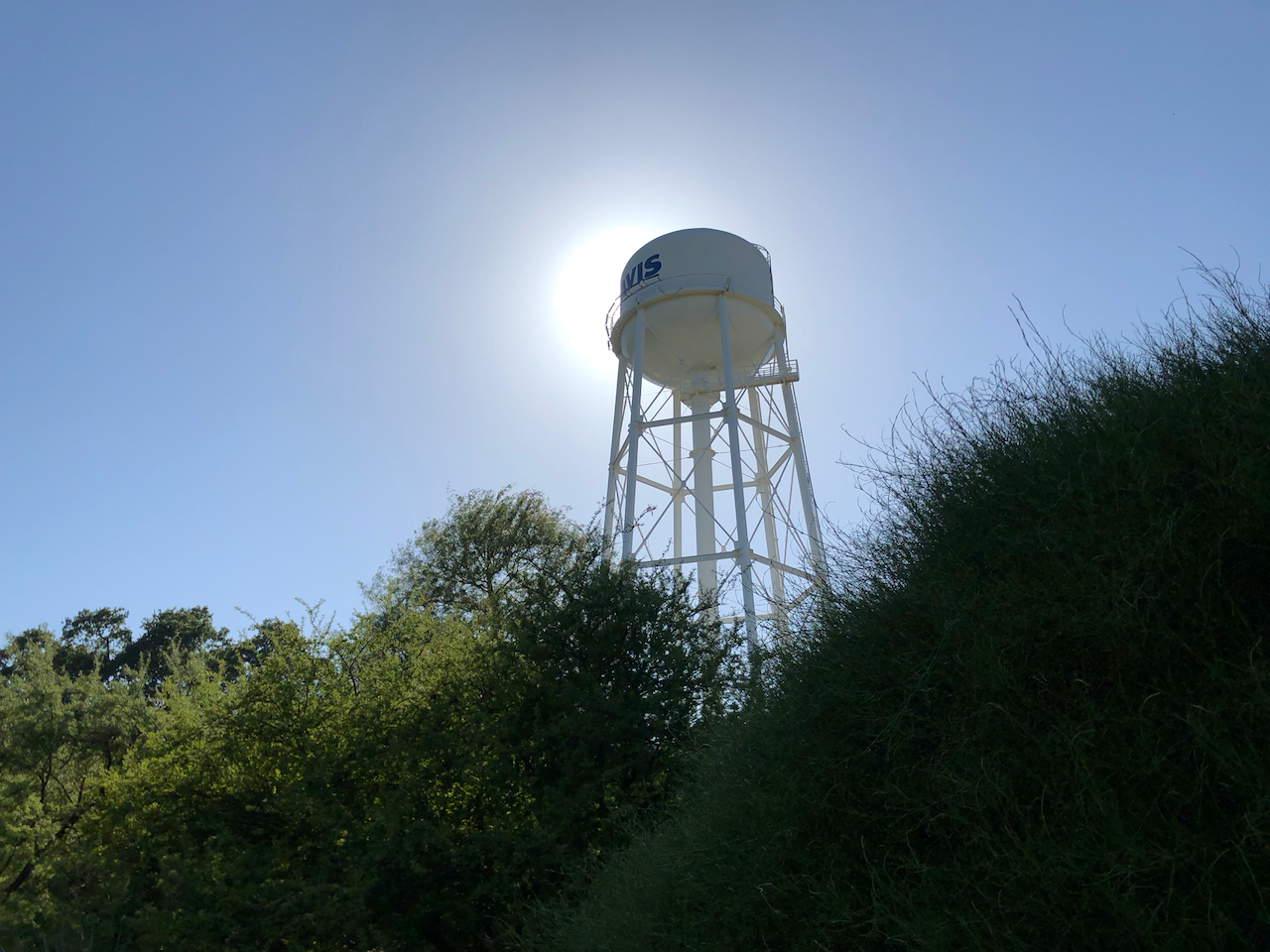 IMG_1510.png