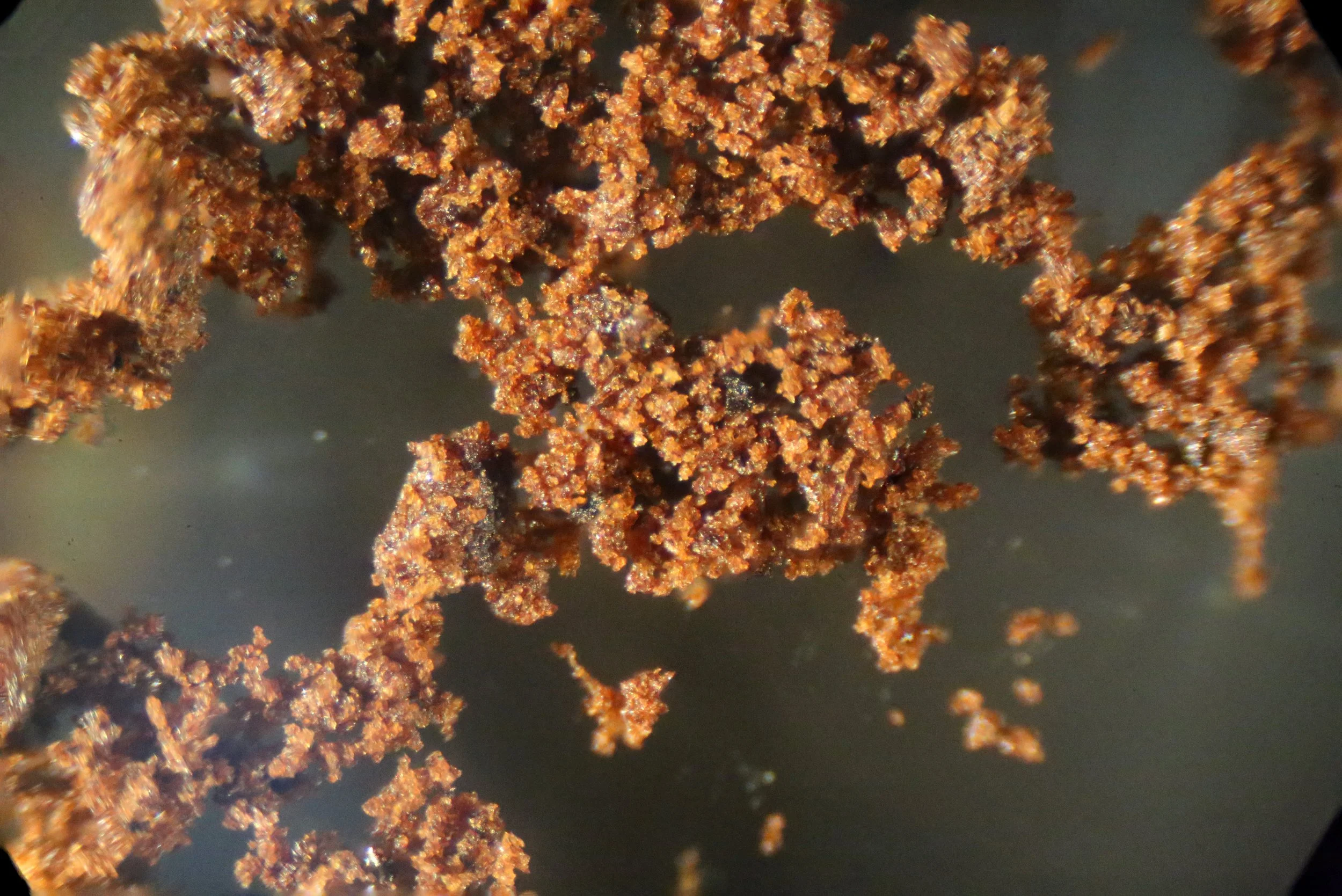 Photo stacked image of coffee grinds