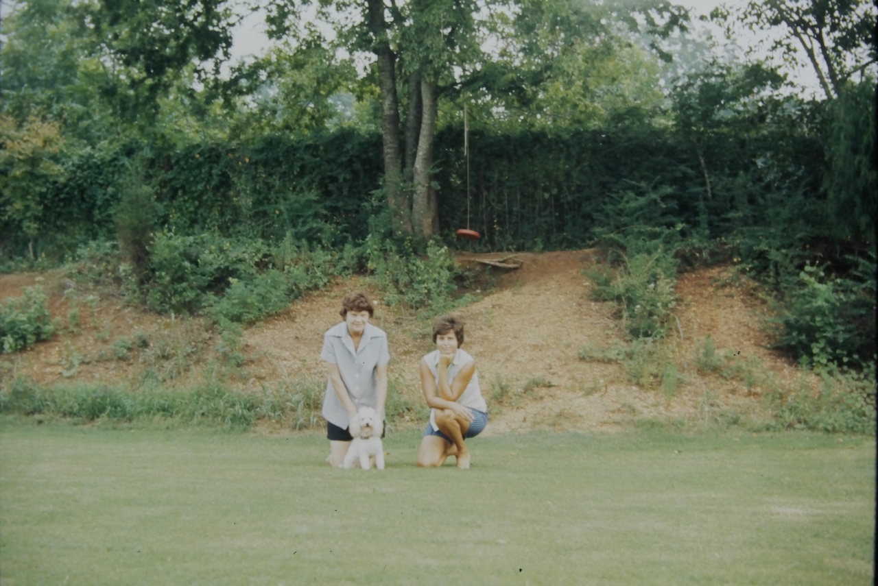 IMAG0012.png