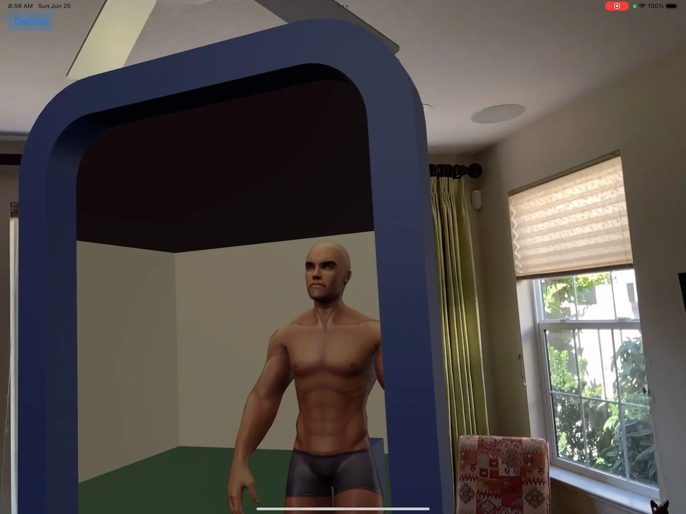 AR Portals with an iPad