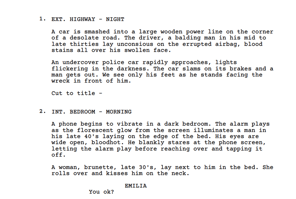 Script ScreenShot.png