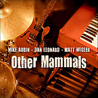 Other Mammals (2011) (Copy)