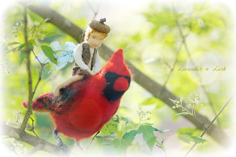 Cardinal3.jpg