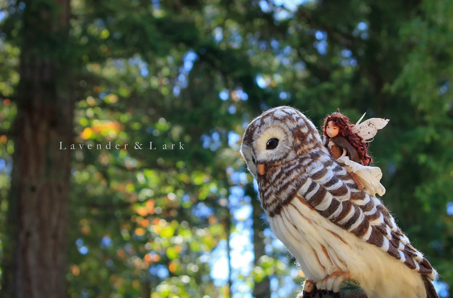 Owl.jpg