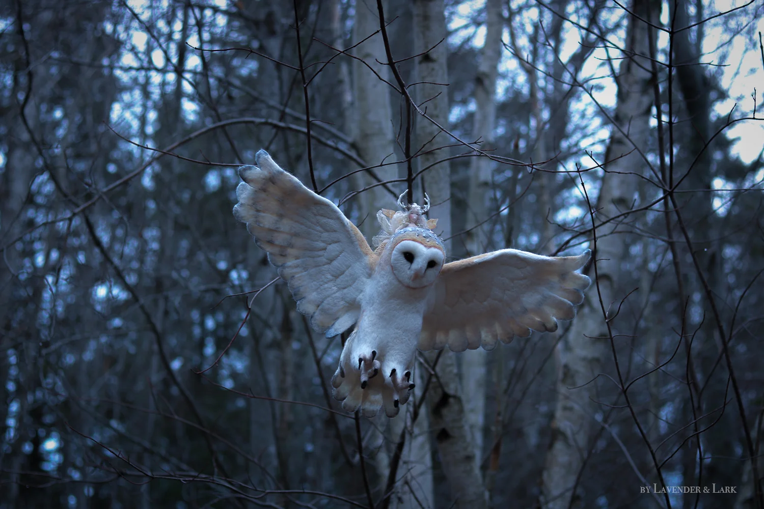 owl9.jpg