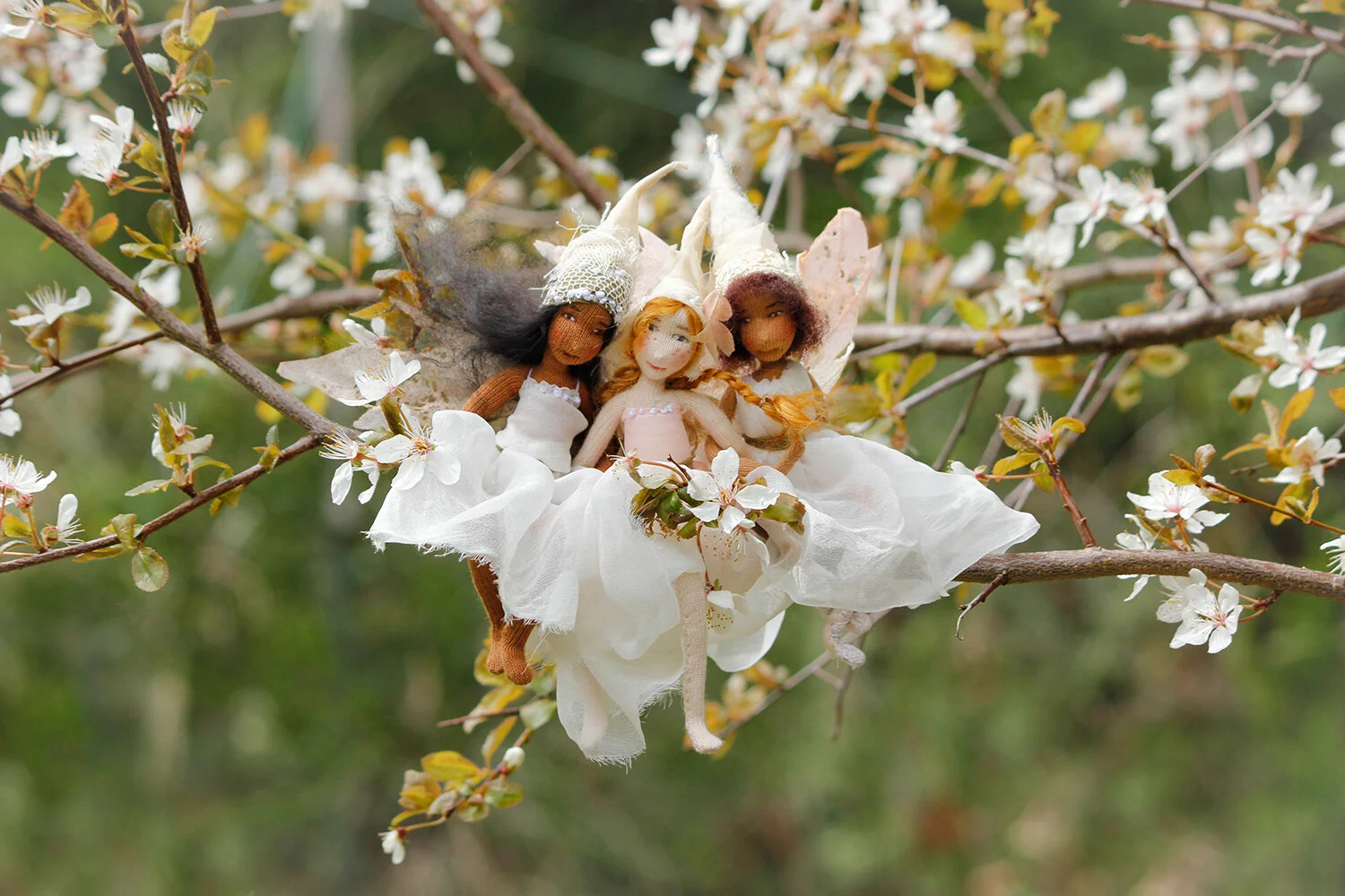 PLumblossom.jpg