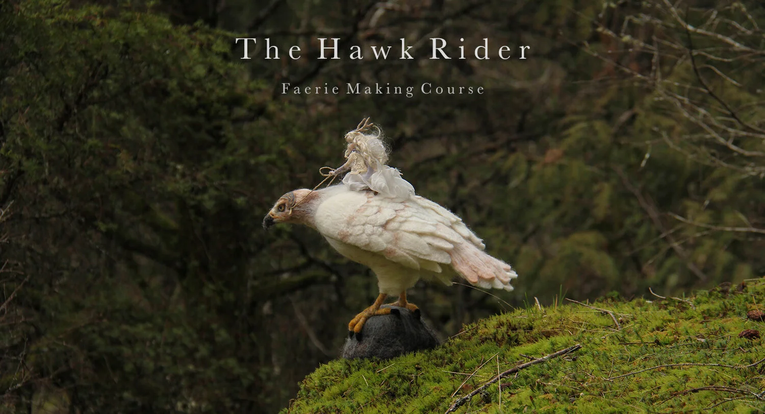 Hawk Rider Course January — Lavender & Lark