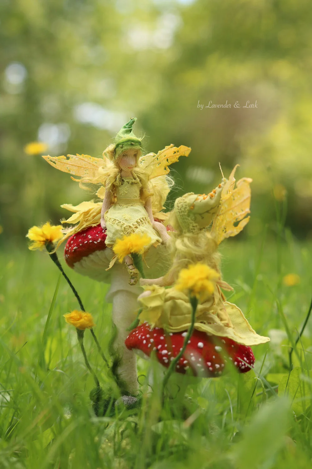 The+Dandelion+Faeries+by+Lavender+&+Lark (1).jpeg