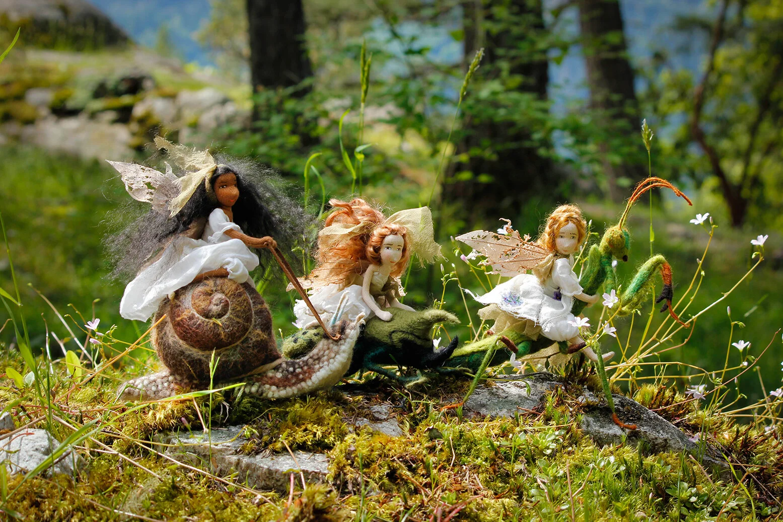 image-asset (2).jpeg