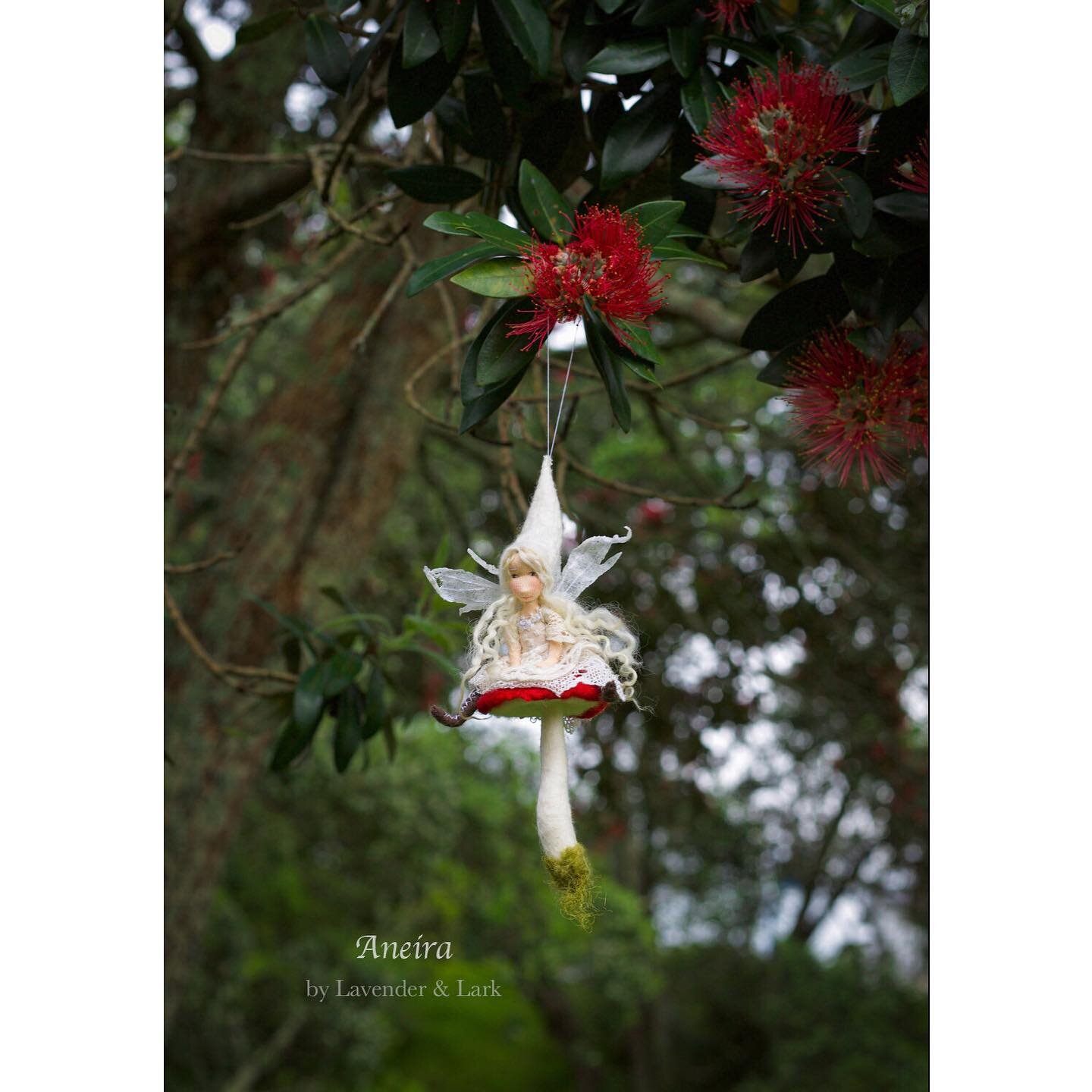 Christmas faeries in Pōhutukawa, full bloom. 
.
Faeries in the shop ✨
.
Link in profile.
.
.
.
.
#lavenderandlark #christmasfairy #fairydoll #fairy #fairyornament #naturalfibreartdoll #poup&eacute;e #waldorf #fae