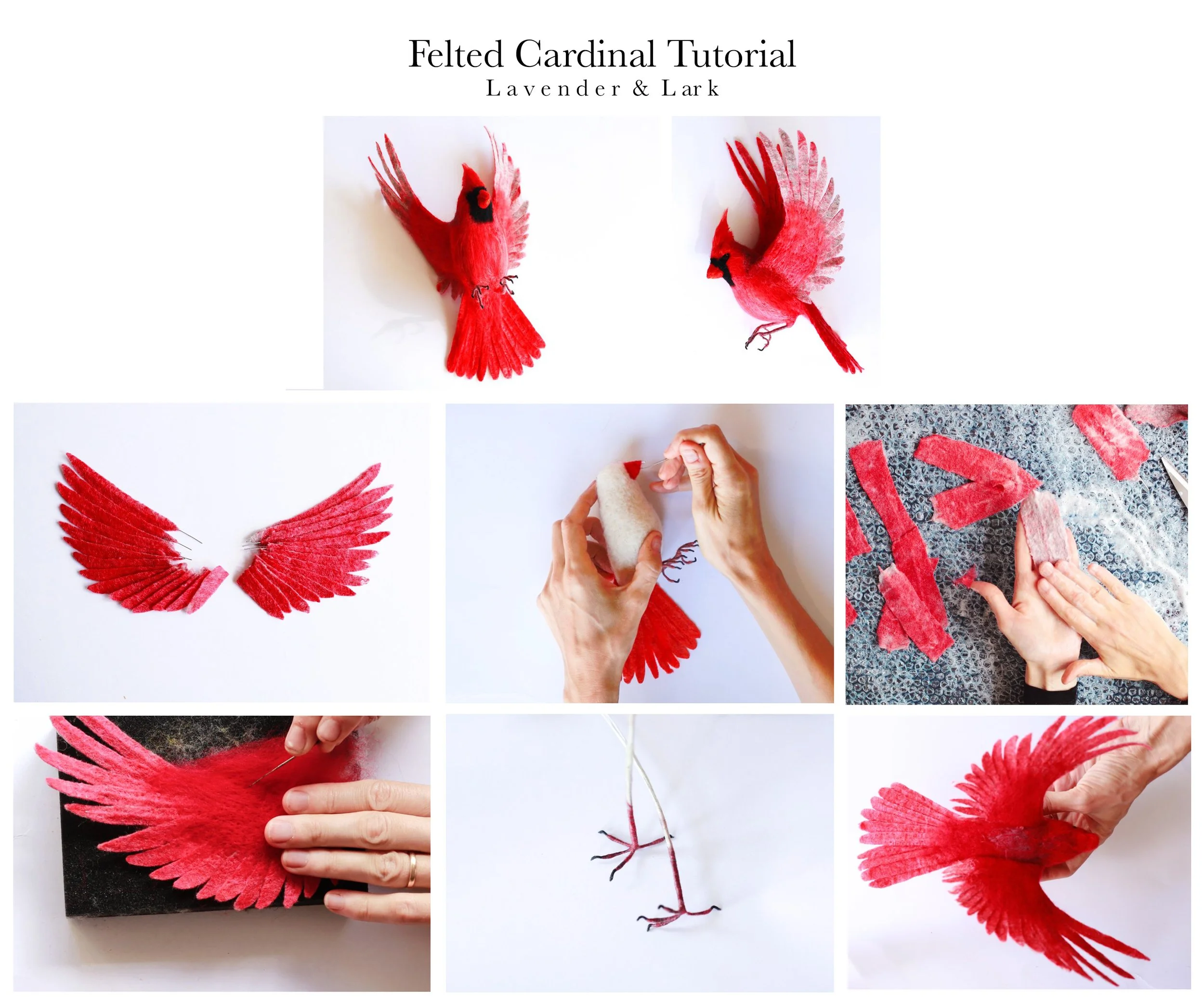 Cardinal Tutorial.jpg