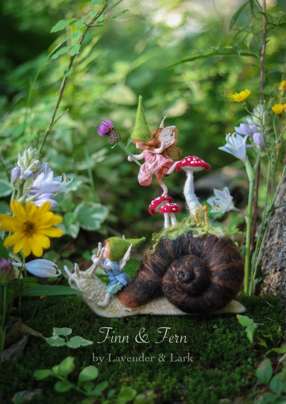 Snail & Faerie
