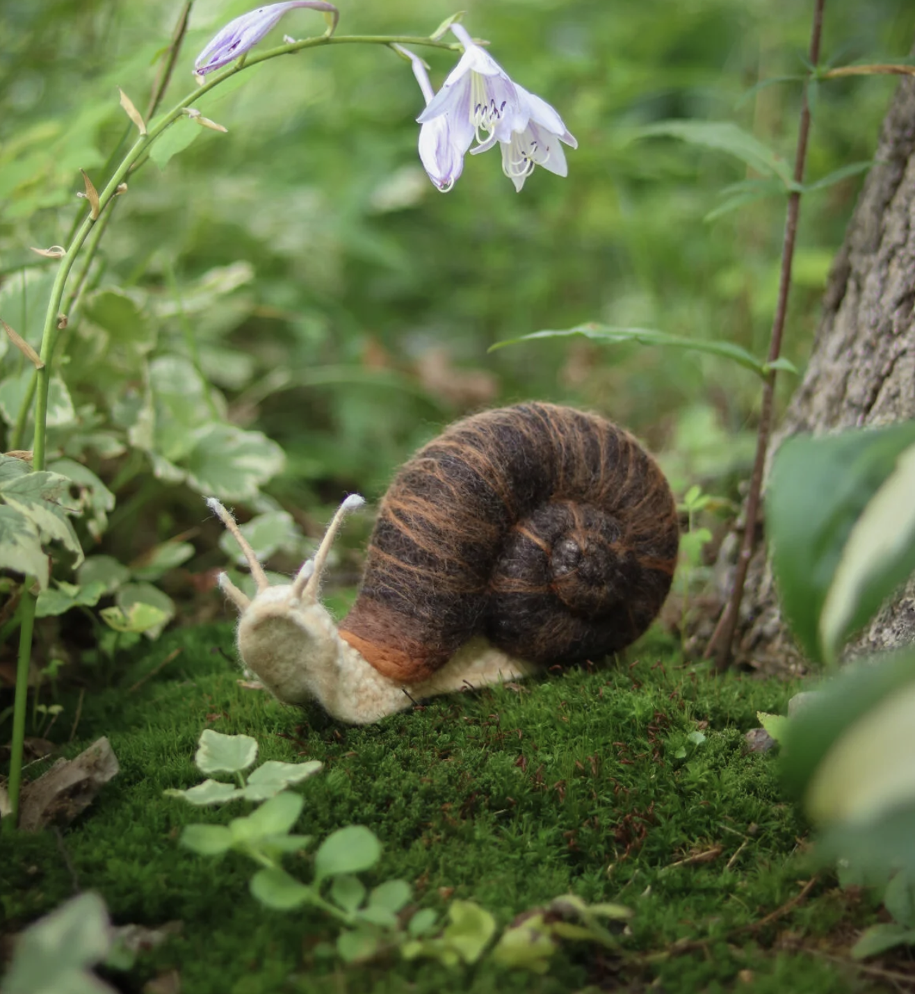 Snail & Nature Elements