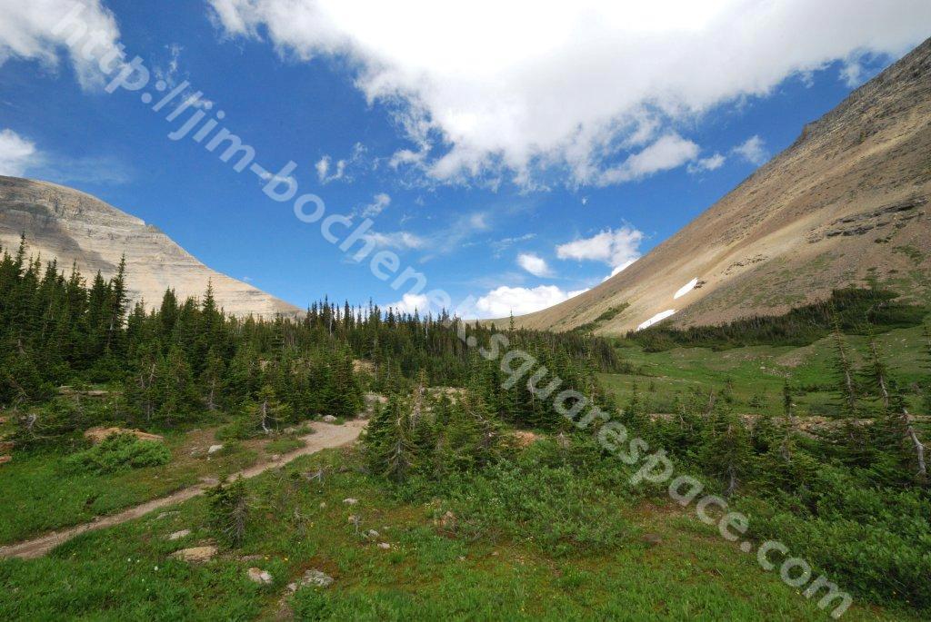 Piegan Pass Trail 8-10