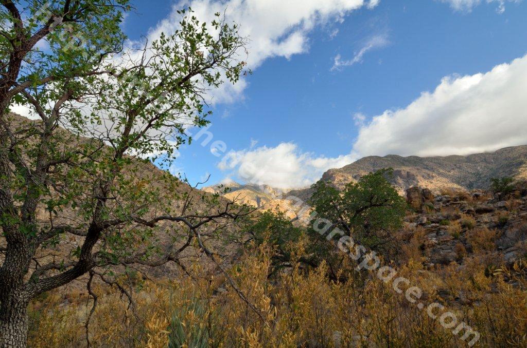 Hutch's Pool Trail - Sabino Canyon 5-11